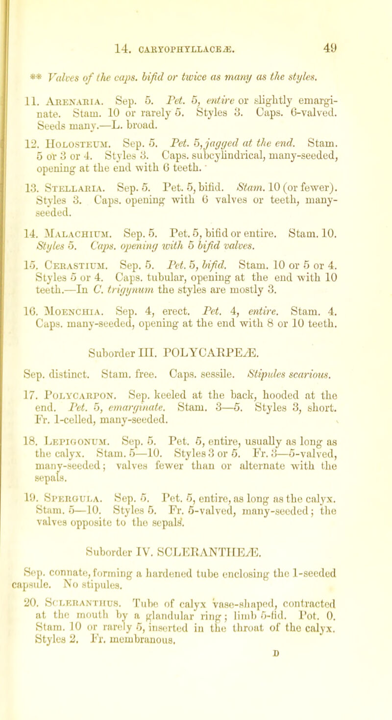 ** Valves of the caps, bifid or twice as many as the styles, 11. Akknahia. Sep. 5. Pet. 5, entire oi- slightly emargi- nate. Stam. 10 or rarely 5. Styles 3. Caps. 6-valved. Seeds mauy.—L. broad. 12. HoLOSTEXJJi. Sep. 5. Pet. 5, jagged at the end. Stam. 5 or 3 or 4. Styles ii. Caps, subcylindrical, many-seeded, opening at the end with 6 teeth. ■ 1;3. Stellaeia. Sep. 6. Pet. 5, bifid. A^i^rtw. 10 (or fewer). Styles 3. Caps, opening with 6 valves or teeth, many- seeded. 14. Malachium. Sep. 5. Pet. 5, bifid or entire. Stam. 10. Styles 5. Caps, opening with 5 hijid valves. 15. Cebastium. Sep. 5. Pet. 5, hifid. Stam. 10 or 5 or 4. Styles 5 or 4. Caps, tubular, opening at the end with 10 teeth.—In C. trigynum the styles are mostly 3. IG. MoENCHiA. Sep. 4, erect. Pet. 4, entire. Stam. 4. Caps, many-seeded, opening at the end with 8 or 10 teeth. Suborder in. POLYCARPEyE. Sep. distinct. Stam. free. Caps, sessile. Stipides scarious. 17. PoLYCAEPON. Sep. keeled at the back, hooded at the end. Pet. 5, cmarginate. Stam. 3—5. Styles 3, short. Er. 1-celled, many-seeded. 18. Lepigonum. Sup. 5. Pet. 6, entire, usually as long as the calyx. Stam. 5—-10. Styles 3 or 6. Fr. 3—5-valved, many-seeded; valves fewer than or alternate with the sepals. 19. SPKROUr.A. Sep. 5. Pet. 5, entire, as long as the calyx. Stam. o—10. Styles 5. Fr. .5-valved, many-seeded; the valves opposite to the sepaW. Suborder IV. SCLl-:ilANTIIE/E. Sep. connate, forming a hardened tube enclosing the 1-sccded capsule. No stipules. 20. Scr-KRANTJius. Tub(\ of calyx vns(!-.'<Iiapod, contracted at the mouth by a glandular ring; limb G-lid. I'ot. 0. Stam. 10 or rarely o, inserted in the throat of the calyx. Styles 2, l^'r. membranous. B