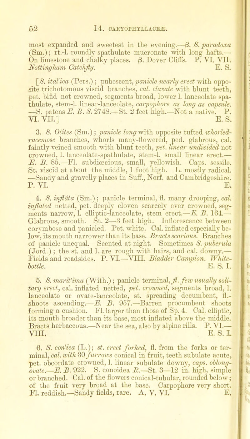 most expanded and sweetest in the evening.—/3. S. parado.va (Sm.); rt.-l. roundly spathulate muci'onate with long hafts.— On limestone and chalky places. ^. Dover Chfl's. P. VI. VII. Nottingliam Catclvfly. E. S. [(S. ital'ica (Pers.) ; pubescent, ^awicZe nearly erect with oppo- site trichotomous viscid branches, cal. clavate with blunt teeth, pet. bifid not crowned, segments broad, lower 1. lanceolate spa- thulate, stem-1. linear-lanceolate, carpophore as long as capsule. —S. patens K B. S. 2748.—St. i! feet high.—Not a native. P. VI. VII.] E. S. 3. S. Ol'ites (Sm.) ; panicle long^'iih. opposite tufted wJiorled- racemose branches, whorls many-flowered, ped. glabrous, cal. faintly veined smooth with blunt teeth, pet. linear undivided not crowned, 1. lanceolate-spathulate, stem-1. small hnear erect.— JE. B. 85.—Fl. subdioecious, small, yellowish. Caps, sessile. St. viscid at about the middle, 1 foot high. L. mostly radical. —Sandy and gravelly places in Sufi., Norf. and Cambridgeshire. P. VI. E. 4. S. injldta (Sm.); panicle terminal, fl. many drooping, cal. inflated netted, pet. deeply cloven scarcely ever crowned, seg- ments narrow, 1. elliptic-lanceolate, stem erect.—JE. B. 164.— Glabrous, smooth. St. 2—3 feet high. Inflorescence between corymbose and panicled. Pet. white. Cal. inflated especially be- low, its mouth narrower than its base. Bracts scarious. Branches of panicle unequal. Scented at night. Sometimes S. puberula (Jord.) ; the st. and 1. are rough with hairs, and cal. do-«niy.— Fields and roadsides. P. VI.—VIII. Bladder Campion. White- bottle. E. S. I. 5. S. marit'ima (With.) ; panicle terminal,^;?.usually soli- tary erect, cal. inflated netted, pet. croiuned, segments broad, 1. lanceolate or ovate-lanceolate, st. spi-eading decumbent, fl.- shoots ascending.—E. B. 957.—Barren procumbent shoots forming a cushion. Fl. larger thau those of Sp. 4. Cal. elhptic, its mouth broader thau its base, most inflated above the middle. Bracts herbaceous.—Near the sea, also by alpine rills. P. VI.— vni. E. S. L 6. S. con'tea (L.); st. erect forked, fl. from the forks or ter- mma\, cal. with 30 furrows conical in fruit, teeth subidate acute, pet. oljcordate crowned, 1. linear subulate downy, caps, oblong- ovate.—B. B. 922. S. conoidea 72.—St. .3—12 in. high, simple or branched. Cal. of the flowers conical-tubular, rounded below; of the fruit very broad at the base. Carpophore very short. Fl. reddish.—Sandy fields, rare, A. V, VI, E.