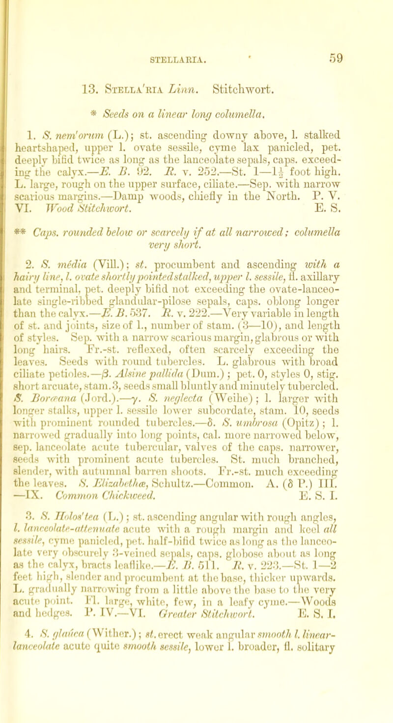 13. StelIiA'eia Linn. Stitchwort. * Seeds on a linear long columella, 1. S. nem'omm (L.); st. ascending downy above, 1. stalked heartshaped, upper 1. ovate sessile, cyme lax panicled, pet. deeply bifid twice as long as tbe lanceolate sepals, caps, exceed- ing the calyx.—i;. B. \)-2. R. v. 252.—St. 1—1^ foot high. L. large, rough on the upper surface, ciliate.—Sep. Avith narrow scavious margins.—Damp woods, cliiefly iu the North. P. V. VI. Wood Stitchivort. E. S. ** Caps, rounded below or scarcely if at all narrowed; columella ve)-y short. 2. iS. media (Vill.); st. procumbent and ascending xvith a hairy line, I. ovate shortly pointed stalked, upper I. sessile, tl. axillary and terininal, pet. deeply bifid not exceeding the ovate-lanceo- late single-ribbed glandidar-pilose sepals, caps, obloug longer than the calyx.—i?. B. o.37. R. v. 222.—Very variable in length of st. and joints, size of 1., number of stam. (o—10), and length of styles. Sep. with a narrow scarious margin, glabi'ous or with long hairs. Fr.-st. reflexed, often scarcely exceeding the leaves. Seeds with roimd tubercles. L. glabrous with broad ciliate petioles.—/3. Alsine pallida (Dum.); pet. 0, styles 0, stig. shoi't arcuate, .stani. .3, seeds small bluntly and minutely tubercled. S. Borffana (.lord.).—y. S. neyjecta (Weihe) ; 1. larger vsTth longer stalks, upper 1. sessile lower subcordate, .stam. lO, seeds with pi'oininent i-oinided tubercles.—5. 6'. umhrosa (Opitz) ; 1. narrowed gi'adually into long points, cal. more narrowed below, Sep. lanceolate acute tubercular, valves of the caps. naiTower, seeds with prominent acute tubercles. St. much branched, slender, witli autunuial barren shoots. Fr.-i3t. much exceeding the leaves. <S'. FJizahetlim, Schultz.—Common. A. (fi P.) 111. —IX. Common Chickweed. E. S. I. •3. .S'. ll'ilos't.ea (L.); st. ascending angular with rough angles, I. lanccolale-af.feniiale acute witli a rough margiu and k'ciil all sessile, cyme panicled, pet. half-bifid twice as long as (he lanceo- late very obscurely .'i-veined sojials, caps, gloljose about as long as the calyx, bracts leafiike.—ii\ B. 511. R. v. 22.3.—St. 1—2 feet high, slender and procumbent at the base, tliicker upwards. L. gradually narrowing from a little above the base to the very acute point. Fl. birge, while, few, in a leafy cyiue.—Woods and hedges. P. IV.—VI. Greater Stitchwort. E. S. I. 4. <S'. ylniwa (Wither.); st. erect weak angular smooth I. linear- lanceolate acute quite smooth sessile, lower 1. broader, 11. solitary