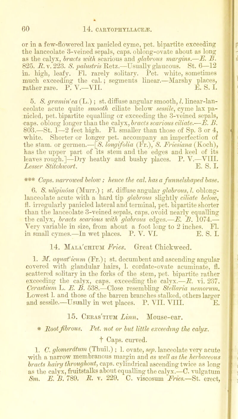 or in a few-flowered lax panicled cyme, pet. bipartite exceeding the lanceolate 3-veined sepals, caps. oWong-ovate about as long as the calyx, bracts with scarious and (jlahrous margins.—E. B. 825. J2. V. 22.3. S. palustrisJietz.—Usually glaucous. St. 6—12 iu. bigh, leafy. Fl. rarely solitary. Pet. white, sometimes much exceeding the cal.; segments linear.—Marshy places, rather rare. P. V.—VII. E.S.I. 5. S. gramin'ea (L.) ; st. diifuse angular smooth, I. linear-lan- ceolate acute quite smooth ciUate below sessile, cyme lax pa- nicled, pet. bipartite equalling or exceeding the S-yeined sepals, caps, oblong longer than the calyx, bracts scarious ciliate.—E. B. 803.—St. 1—2 feet bigh. Fl. smaller than those of Sp. 3 or 4, white. Shorter or longer pet. accompany an imperfection of the stam. or germen.—\^S. longifolia (Fr.), S. Friesiana (Koch), has the upper part of its stem and the edges and keel of its leaves rough.]—Dry heathy and busby places. P. V.—VIII. Lesser StitcMvort. E. S. I. *** Caps, narroioed below ; hence the cal. has a funnelshaped base. 6. S. iiliyinosa (Murr.) ; st. diffuse angular glabrous, I. oblong- lanceolate acute with a hard tip glabrous slightly ciliate below, fl. irregularly panicled lateral and terminal, pet. bipartite sliorter than the lanceolate 3-veined sepals, caps, ovoid nearly equalling the calyx, bracts scarious tvith glabrous edges.—E. B. 1074.— Verj' variable in size, from about a foot long to 2 inches. Fl. in small cymes.—In wet places. P. V. VI. E. S. I. 14. Maia'chhtm Fries. Great Chickweed. 1. 31. aquat'icum (Fr.); st. decumbent and ascending angular covered with glandular hairs, 1. cordate-ovate acuminate, fl. scattei-ed solitarj' in the forks of the stem, pet. bipartite rather exceeding the calyx, caps, exceeding tlie calyx.—R. vi. 237. Cerastium L. E. B. 538.—Close resembling Stellaria nemorum. Lowest 1. and those of the barren branches stalked, others larger and sessile.—Usually in wet places. P. VII. VIII. E. 15. Ceras'tium Linn. Mouse-ear. * Root fibrous. Pet. not or but little exceeding the calyx. t Caps, ciu'ved. 1. C. glomei'dtu7)i (Thuil.) ; 1. ovate, sep. lanceolate veiT acTite with a narrow membranous margin and as 7cell as the herbaceous bracts hairy throughout, caps, cylindrical ascending twice as long as the calyx, fruitstalks about equalling the calyx.—C. vulgatmn Sm. E. B. 789. It. v. 229. C. viscosum St. erect,