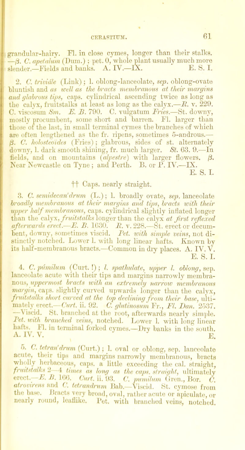 grancluLiv-liaiiy. Fl. in close cymes, longer than their stalks. —/3. C. apefahim (J)\im.) ; pet. 0, whole plant usually much more slender.—Fields and banks. A. IV.—IX. E. S. I. 2. C. trmi'dc (Link) ; 1. oblong-lanceolate, se^?. oblong-ovate bluntisli and as well as the bracts nwnihranoiis at their margins and f/hihroiis tij>s, caps, cylindrical ascending twice as long as the calyx, fruitstalks at least as long as the calyx.—H. v. 229. C. viscosiun Sm. E. B. 790. C. viilgatum Fries.—St. downy, mostly procumbent, some short and barren. Fl. larger than those of the last, in small terminal cymes the branches of which are often lengthened as the fr. ripens, sometimes 5-androus.— jS. C. Jwlosteo'idvs (Fries) ; glabrous, sides of st. alternately do^\niy, 1. dark .smooth shining, fr. much larger. St. 63. 9.—In fields, and on mountains {alpestre) with larger flowers. j3. Near Newcastle on Tyne ; and Perth. B. or P. IV.—IX. E. S. I. tt Caps, nearly .straight. ?>. C. semidecan'drum (L.); 1. broadly ovate, scp. lanceolate hroadhj meinhranous at their man/ins and tips, bracts with their upper half ntembraimis, caps, cylindrical shglitly intlated longer than the cidyx, //-M/fe<«/;Z;.s longer than the calyx at first rcfiexed afterwards erect.—E. B. l(j.30. It. v. 228.—St. erect or decum- bent, downy, sometimes viscid. Pet. with simple veins, not di- stinctly notched. Lower 1. with long linear hafts. Known by its lialf-membranoiiri bracts.—Common in day places. A. IV. V. E. S. L 4. C. pthnilum (Curt. !) ; I. spathulate, upper I. oblomj, sep. lanceolate acute with their tips and margins narrowly membra- nous, upper/Host bracts ivith an e-rtrenieh/ narrow membranous marfiin, caps, .•^lightly curved upwards longer tlian the calyx, fruitstalks short curved at the top declininr/ from their base, ulti- mately erect.—ii. 92. C. (/lutinosimi Fr., Fl. Dan. 2.i.37. —Viscid. St. branched at the root, afterwards nearly sini])le. Pet. ivith branched veins, notclied. Lower 1. with long linear hafts. M. ill tei-minal forked cymes.—Dry banks in the .soutli. A. IV. V. E. ~). C. tetran'drum (Ciir-t.) ; 1. oval or oblong, sop. lanceolate acute, their tip.M and margins narrowly Tnemlirauoiis, bracts wliolly herbaceous, caps, a little exc(M,'ding thecal, straight, friiitstalhs 2 4 times as lonr/ as the caps, straif/ht, iiltiinately erect.—7i. 7A iOfi. Curt. \\.\)?,. C. pvviUam (\Ym.,V,ov. Q. alrorirens and C. tctrandrum I3ab.—Viscid. St. cyinoso from the base. JJracts very broad, oval, rather acute or ii])icu]ate, or nearly round, leallike. I'ot. with braiiclied veiiLs, notched.