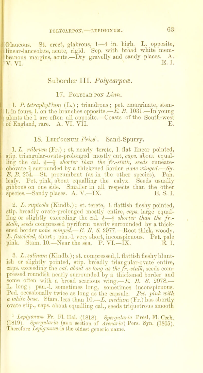 POLTCARPOJT. LEPTGONirM. !Glaucous. St. erect, glabrous, 1—4 in. liigli. L. opposite, linear-lanceolate, acute, rig-id. Sep. with broad white mem- branous margins, acute.—Dry gravelly and sandy places. A. V. VI. E. I. Suborder III. PohjcarpecB. 17. Poltcae'pon Linn. 1. P. tetraphyl'lum (L.); ti'iandi'ous : pet. emarginate, stem- 1. in fours, 1. on the branches opposite.—E. B. 10.31.—In young plants the 1. are often all opposite.—Coasts of the South-west of England, rare. A. VI. VII. E. 18. Lepi'gonum Fries^. Sand-Spurry. 1. L. riibrum (Fr.) ; st. nearly terete, 1. flat linear pointed, stip. tnangular-ovate-prolonged mostly cut, caps, about equal- ling the cal. ^—f shorter than the fr.-ntalk, seeds cuneate- obovate § surrounded by a thickened Iwrder norie wimjcd.—Sy. E. B. 254.—St. procumbent (as in the other species). Pan. leafy. I'et. pink, about equalling tlie calyx. Seeds usually gibbous on one side. Smaller in all respects than the other species.—Sandy places. A. V.—IX. E. S. I. 2. L. rtip'icola (Kindb.); st. terete, 1. flattish fleshy pointed, stip. broadly ovate-prolonged mostly entire, caps, large equal- ling or slightly exceeding the cal. h—| shorter than the fr.- stalh, seeds compressed pyriform nearly surrounded by a thiclf- ened border none wuujed.—E. B. S. 2977.—Root thick, woody. L.fascicled, short; pau.-l. vei-y short, inconspicuous. Pet. pale pink. Stam. 10.—Near the sea. P. VI.—IX. E. I. •3. L. sal'invm (T^indb.); st. compressed,], flattish flesliy bliint- ish or slightly pointed, stip. broadly triangular-ovato entire, caps, exceeding the cal. almid as Ion;/ as the fr.-sfalls, seeds com- pressed roundish nearly surrounded by a thiclcened border .'ind some often with a broad scariou.s wing.—E. B. S. 2!)78.— L. long; pan.-l. sometimes long, sometimes inconspicuous. Ped. occasionally twice as long as the capsule. Fct. pink with a white bo-w. Stam. less than 10.—X. medium. (Vv.) has shortly ovate stip., caps, about equalling cal., seeds triqncitrous smooth ' Lepiffonum Fr. PI. Hal. (1818). Spnrffiilaria Prosl, Fl. Ceeh. (1819)_. ' Hperrjularia (aa a SBcMon of Arcii'aria) Pcrs. Syn. (1805). Thercforo Lcpigonum ia tho oldest generic name.