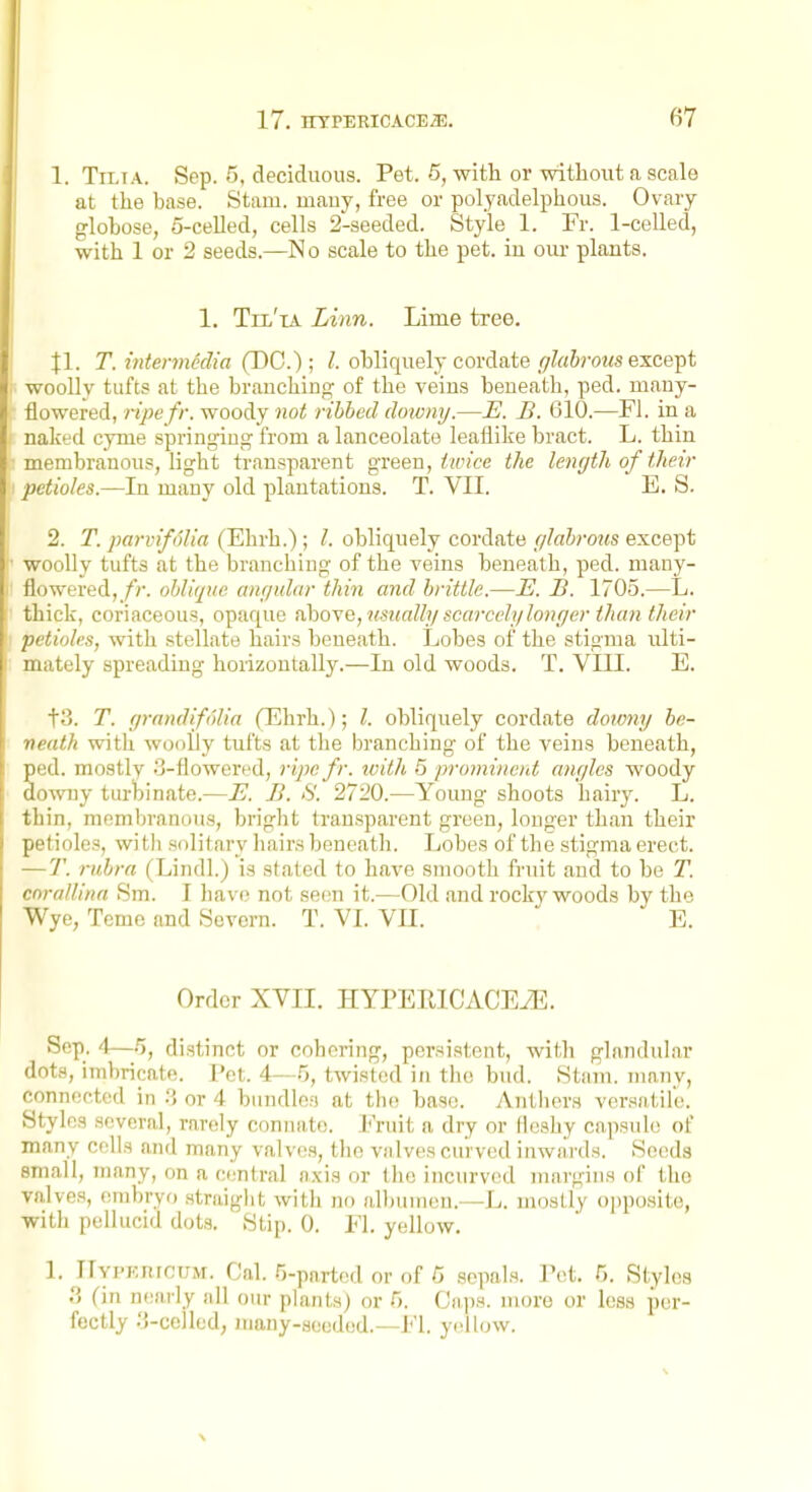 1. TiLiA. Sep. 5, deciduous. Pet. 5, with or without a scale at the base. Stam. many, free or polyadelphous. Ovary globose, 5-celled, cells 2-seeded. Style 1. Fr. 1-celled, with 1 or 2 seeds.—N o scale to the pet. iu oiu- plants. 1. Til'ta Linn. Lime tree. Jl. T. intermedia (DC); I. obliquely cordate .(/Za&jws except woolly tufts at the brauchiDg of the veins beneath, ped. many- flowered, ripe fr. woody not ribbed downy.—E. B. 610.—Fl. in a naked cyme springing from a lanceolate leaflike bract. L. thin membranous, light transparent green, <H'ice the length of their petioles.—In many old plantations. T. VII. E. S. 2. T. parvifoUa (Ehrh.); I. obliquely cordate r/labrous except woolly tufts at the branching of the veins beneath, ped. many- flowered,//, ohlique anf/ular thin and brittle.—E. B. 1705.—L. thick, coriaceous, opaque uho^e, usually scarcchilonger than their petioles, with stellate hairs beneath. Lobes of the stigma ulti- mately spreading horizontally.—In old woods. T. VIII. E. to. T. f/rnndift'tlia (Ehrh.); I. obliquely cordate downy be- ni'iith with woolly tufts at the branching of the veins beneath, p(;d. mostly o-flowered, ripefr. ivith 5 prominent angles woody downy turbinate.—E. B. 8. 2720.—Young shoots hairy. L. thin, membranous, bright tran.sparent green, longer than their |)('liolcs, witli solitary liairs beneath. Lobes of the stigma erect. T. rubra (Lindl.) is stated to have smooth fruit and to be T. corallina Sm. I liavi; not seen it.—Old and rockj'woods by the Wye, Teme and Severn. T. VI. VU. E. Order XVII. HYPERICACEiE. Sep. A—.5, distinct or cohering, persistent, with glandular dots, imbricate. Pet. 4—.5, twisted in the bud. Stam. many, connected in .'i or 4 bundles at the base. Anthers versatile. Styles several, rarely connate. Fruit a dry or fleshy capsule of many colls and many valves, the vnlves curved inwards. Seeds small, many, on a central axis or the incurved margins of the valves, embryo straiglit with no all)uinen.—L. mostly opposite, with pellucid dots. Stip. 0. Fl. yellow. 1. Ilyi-ERrcuM. Cal. Tj-parted or of 5 sepals. Pet. r,. Styles 3 (in n(;ariy all our plants) or f). Caps, more or less per- fectly .'J-celled, many-seeded.—Fl. yellow.