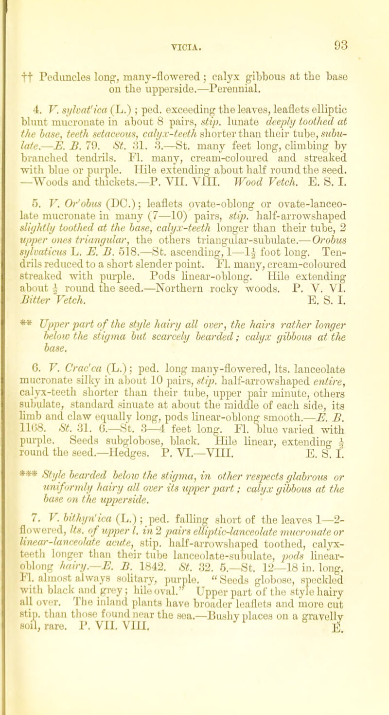 ft Peduncles long, many-flowered; calyx giljbo\is at the base on the upperside.—Perennial. 4. V. sylvttt'ica (L.) ; pod. exceeding the leaves, leaflets elliptic blunt mucronate in about 8 pairs, stip. lunate deeply toothed at the base, teeth setaceous, calyx-teeth shorter than their tube, subu- late.—m. £. 79. St. ;il. 3.—St. many feet long, climbing by branched tendrils. Fl. many, cream-colom'ed and streaked with blue or pnrple. Ilile extending about half roimdthe seed. —Woods and thickets.—P. VII. Vill. Wood Vetch. E. S. I. 5. V. Or'obus (DC.); leaflets ovate-oblong or ovate-lanceo- late mucronate in many (7—10) pairs, stip. half-arrowshaped slightly toothed at the base, calyx-teeth longer than their tube, 2 u/}per ones triangular, the others triangular-subidate.— Orobus sylvaticus L. E. B. 518.—St. ascending, 1—\\ foot long. Ten- drils reduced to a short slender point. El. many, cream-colom-ed streaked with purple. Pods linear-oblong. liile extending about h round the seed.—Northern rocky woods. P. V. VI. Bitter 'Vetch. E. S. I. ** Upper part of the style hairy all over, the hairs rather longer below the stigma but scarcely bearded; ccdyx gibbous at the base, 6. V. Crac'ca (L.) ; ped. long many-flowered. Its. lanceolate mucronate silky in about 10 pairs, stij). half-arrowshaped entire, calyx-teeth shorter than their tube, upper pair minute, others subidate, .standard sinuate at about the middle of each side, its limb and claw equally long, pods linear-oblong smooth.—U. B. Il(j8. St. 31. G.—St. .3—4 feet long. Fl. blue varied with puiiile. Seeds 8ubglob().se, black. lEle linear, extending ^ round the seed.—Hedges. P. VI.—VIII. E. S. 1. *» stijig bearded below tlie stigma, in other respects glabrous or uniformly hairy all over its upper part; calyx gibbous at the base on the upperside. 7. V. bilhyn'ica (L.) ; ped. falling short of the leaves 1—2- flowered. Its. of upper I. in 2 pairs elliptic-lanceolate mucronate or linear-lanceolate acute, stip. half-arrowsliaped tootlied, calyx- teeth longer than their tube lanceolate-subulate, pods linear- oblong hairy.—E. B. 1842. 6';!. 32. 5.—St. 12—18 in. long. Fl. almost always sohtary, purple. Seeds globose, speckled witli black and grey; hilo oval.'^ Upper part of the style hairy all over. The inland plants have broader leaflets and more cut stip. tlian tliose found near the sea.-Bushy places on a gravelly soil, rare. I'. VII. VIII.