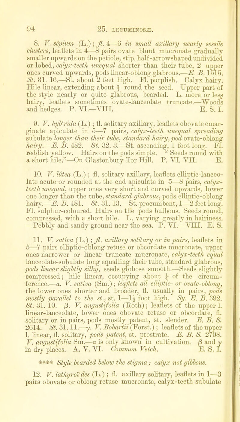 8. V. sepium (L.); fl. 4—6 in small axillary nearly sessile clusters, leaflets in 4—8 pairs ovate blunt mucronate gradually smaller upwards on the petiole, stip. half-arrowshaped undi-\ ided or lobed, calyx-teeth unequal shorter than their tube, 2 upper ones curved upwards, pods linear-oblong glabrous.—HJ. B. lolo. St.. 31. 16.—St. about 2 feet high. Fl. purplish. Calyx haii-y. Hile Hnear, extending about f round the seed. Upper part of the style nearly or quite glabrous, bearded. L. more or les^ hairy, leaflets sometimes ovate-lanceolate truncate.—Woods and hedges. P. VI.—VIII. E.S.I. 9. V. hyh'rida (L.) ; fl. solitary axillary, leaflets oboTateemar- ginate apiculate in 5—7 pau-s, calyx-teeth uwqual spreading subulate loyujer than their tube, standard hairt/, pod ovate-oblong hairy.—E. B. 482. St. 32. 3.—St. ascending, 1 foot long. PI. reddisli yellow. Hairs on the pods simple.  Seeds round with a short hile.—On Glastonbm-y Tor Hill. P. VI. VU. E. 10. V. lutea (L.) ; fl. solitary axillary, leaflets elliptic-lanceo- late acute or rounded at the end apiculate in 5—8 pairs, calyx- teeth unequal, upper ones very short and curved upwards, lower one longer than the tube, standard glabrous, pods elliptic-oblong hairy.—^. B. 481. St. 31.13.—St. procumbent, 1—2 feet long. Fl. sulphur-coloiu-ed. Hairs on the pods bulbous. Seeds roimd, compressed, with a short hile. L. varying greatly in hauiness. —Pebbly and sandy ground near the sea. P. VI.—YIH. E. S. 11. V. saliva (L.) ; Jl. axillary solitary or in ^lairs, leaflets in 5—7 pairs elliptic-oblong retuse or obcordate mucronate, upper ones narrower or linear truncate mucronate, calyx-teeth equal lanceolate-subulate long equalling their tube, standard glabrous, jjods linear slightly silky, seeds globose smooth.—Seeds slightly compressed; hile linear, occupying about | of the circum- ference.—a. V. sativa (Sm.); leaflets all elliptic- or ovate-oblong, the lower ones shorter and broader, fl. usually in pairs, jjods mostly parallel to the st., st. 1—Ih foot high. Sy. E. B. 392. St. 31. 10.—/3. V. angustifolia (Roth); leaflets of the upper 1. linear-lanceolate, lower ones obovate retuse or obcordate, fl. solitary or in pairs, pods mostly pateut, st. slender. E. B. S. 2614. St. 31.11.—y. V. Bobartii (Forst.); leaflets of the upper 1. linear, fl. solitary, ^jorfs patent, st. prostrate. E. B. S. 2708. V. angustifolia Sm.—a is only known in cultivation. /3 and y in di-y places. A, V. VI. Common Vetch. E. S. I. **** Style bearded beloiv the stigma; calyx not gibbous. 12. V. lathyroi'des (L.) ; fl. axillary solitary, leaflets in 1—3 pairs obovate or oblong retuse mucronate, calyx-teeth subiUate