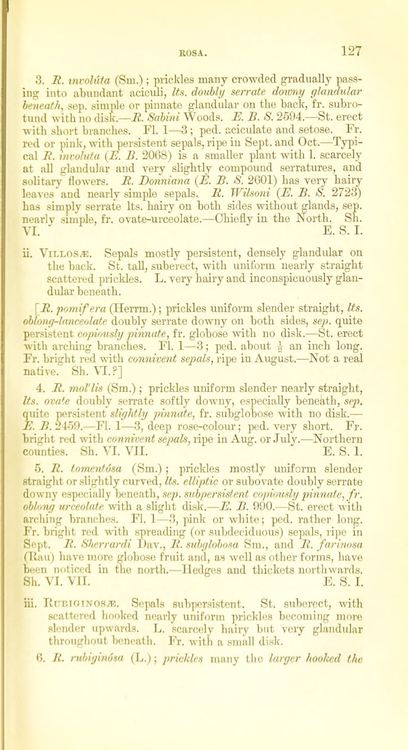 .3. i?. mvohtta (Sm.); pricides many crowded gradually pass- ing into abundant acicidi, Its. doubly serrate doivny r/landular heneath, sep. simple or pinnate glandular on the back, fr. subro- tund with no disk.—-R. Sahini Woods. E. B. S. 2694.—St. erect with short branches. Fl. 1—3; ped. aciculate and setose. Fr. red or pink, with persistent sepals, ripe in Sept. and Oct.—Typi- cal i?. im-ohtta {E. B. 2068) is a smaller plant with 1. scarcely at all glandular and very slightly compound serratures, and solitary flowers. E. Donniana {E. B. S. 2601) has very hairy leaves and nearly simple sepals. R. Wilsoni {E. B. S. 2723) has simply serrate Its. hairy on both sides without ^^lands, sep. nearly simple, fr. ovate-urceolate.—Chiefly in the North. Sh. VI. E.S.I. ii. ViLLOS.?:. Sepals mostly persistent, densely glandidar on the back. St. tall, suberect, with uniform nearly straight scattered prickles. L. veiy hairy and inconspicuously glan- dular beneath. [jR. pomifera (Herrm.); prickles uniform slender straight, Its. ohlonfi-lmiceolate doubly serrate downy on both sides, sep. quite persistent copiously pinnate, fr. globose with no disk.—St. erect with arching branches. Fl. 1—3; ped. about h an inch long. Fr. bright red with connivent scjmIs, ripe in August.—Not a real native. Sh. VI.?] 4. R. mol'lis (Sm.); prickles uniform slender nearly straight, Us. ovale doubly sen-ate softly downy, especially beneath, sq). quite persistent sliylitly pinnate, fr. subglobose with no disk.— E. B. 24o9.—Fl. 1—3, deep rose-colour; ped. very short. Fr. bright red with connivent sepals, ripe in Aug. or Jul v.—Northern counties. Sh. VI. VII.  E. S. 1. 5. R. tomenfusa (Sm.); prickles mostly imiform slender straight or .slightly curved, Its. elliptic or subovate doubly serrate downy especially beneath, sep. suhpersislent eopuiusly pinnate, fr. ohlony urceolate with a slight disk.—E. B. 000,—St. erect with arching branches. Fl. 1—3, pink or white; ped. rather long. Fr. bright red with spreading (or subdeciduous) sepals, ripe in Sept. R. Sherrardi Dav., R. sid)yloh<mi Sm., and R. farinnsa (Tlati) have tn.ore globose fruit and, as well as other forms, have been noticed in tlie north.—Hedges and thickets northwards. Sh. VI. VII. E. S. I. iii. PiunroiNOHiR. S(!pals subpersistcnt. St. suberect, with scattered hooked nearly uniform prickles becoming more .•ikmder upwards. L. scarcely hairy but very glandular throughout benc^ath. Fr. with a small disk. 6. R. nihiginosa (L.); prickles many the larger /loo/ced the