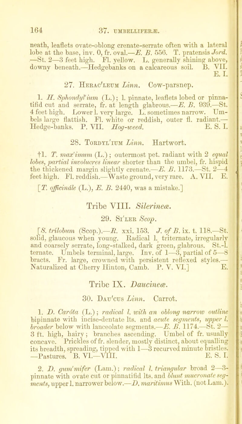 neath, leaflets ovate-oblong crenate-serrate often with a lateral lobe at the base, inv. 0, fr. oval.—E. B. 556. T. pratemis Jord. —St. 2—3 feet high. Fl. 3'ellow. L. generally shining above, downy beneath.—Hedgebanks on a calcareous soil. B. VII. E. I. 27. Heeac'leum Linn. Cow-parsnep. 1. H. Sphondi/rium (L.); 1. pinnate, leaflets lobed or pinna- tifid cut aud serrate, fr. at length glabrous.—E. B. 9.39.—St. 4 feet high. Lower 1. very large. L. sometimes naiTOw. Um- bels large flattish. Fl. white or reddish, outer fl. radiant.— Hedge-banks. P. VII. Hog-weed. E. S. I. 28. ToEDrL'ruM lAnn. Hartwort. tl. T. max'imiim (L.) ; outermost pet. radiant with 2 equal lobes, partial involucres linear shorter than the umbel, fr. hispid the thickened margin slightly creuate.—E. B. 1173.—St. 2—i feet high. Fl. reddish.—Waste ground, very rare. A. VII. E. [T. officinale (L.), E. B. 2440, was a mistake.] Tribe VIII. Silerinea. 29. Si'iEE Scop. [S. trilohum (Scop.).—i2. xxi. 153. J. of B. ix. t. 118.—St. solid, glaucous when young. Radical 1. triternate, irregularly and coarsely serrate, loug-stalked, dark greeu, glabrous. St.-I. ternate. Umbels terminal, large. Inv. of 1—3, partial of 5—8 bracts. Fr. large, crowned with persistent retlexed styles.— Natm-alized at Cherry lliuton, Camb. P. V. VI.] E. Tribe IX. Daucinece. 30. Dau'cus Linn. Carrot. 1. D. Car6ta (L.); i-adical I. with an oblong narroiu outline bipinuate with incise-deutate Its. and acute segments, upper I, broader below with lanceolate segments.—E. B. 1174.—St. 2— 3 ft. high, hairy ; branches asccnduig. Umbel of fr. usually concave. Prickles of fr. slender, mostly distinct, about equalling its breadth, spreading, tipped with 1—3 recurved minute bristles. —Pastures. B. VI.—VIII. E. S. I. 2. D. gum'mifer (Lam.); radical I. triangular broad 2—3- pinnate vnth ovate cut or pinnatihd Its. and blu/it mucronate seg- ments, upper 1. narrower below.—B. maritimus With, (not Lam.).