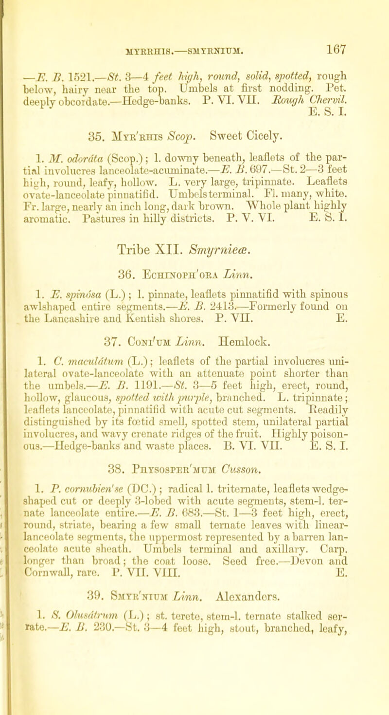 —E. B. 1521.—St. 3—4 feet hifjh, rcnind, solid, spotted, rough below, hiiiry near the top. UnibeLs at first noddiDg. Pet. deeply obcordate.—Hedge-oanks. P. VI. VII. JtoiM/h Clierml. E. S. I. 35. MrR'Eins Scop. Sweet Cicely. 1. M. odordta (Scop.); 1. downy beneath, leaflets of the par- tial involucres lanceolate-acuminate.—i>. 697.—St. 2—3 feet hii^h, round, leafy, hollow. L. very large, tripinnate. Leaflets ovate-lanceolate pinnatifid. Umbels terminal. Fl. many, white. Fr. large, nearly an inch long, dark brown. Whole plant highly aromatic. Pastures in hilly districts. P. V. VI. E. S. I. Tribe XII. Smyrniees. 36. Echdstoph'oea Linn. 1. E. spinosa (L.) ; 1. piimate, leaflets pinnatifid with spinous awlshaped entire segments.—E. B. 2413.—Formerly found on the Lancashire and Kentish shores. P. VII. E. 37. CoNi'uM Linn. Hemlock. 1. C. maciildtum (L.); leaflets of the partial involucres uni- lateral ovate-lanceolate with an attenuate point shorter than the umbels.—E. B. 1191.—St. ?>—5 feet high, erect, round, hollow, glaucous, spotted tvith purple, branched. L. tripinnate; leaflets lanceohate, pinnatifid with acute cut segments. Readily distinguished by its foetid smell, spotted stem, unilateral partial involucres, and wavy crenate ridges of the fruit. Highly poison- ous.—Uedge-banks and waste places. B. VI. VII. E. S. I. 38. Physospdr'mum Cusson. 1. P. cornuhien'se (DC.) ; radical 1. tritemate, leaflets wedge- shaped cut or deeply .'Mobod with acute segments, stem-1. ter- nate lanceolate entire.—E. B. (583.—St. 1—3 feet high, erect, round, striate, bearing a few small ternate loaves with linear- lanceolate segments, the uppermost represented by a barren lan- ceolate acute sheath. Umbels terminal and axillary. Carp, longer than broad; the coat loose. Seed free.—Devon and Cornwall, rare. P. VII. VIII. E, 39. Smth'nttjm: Linn. Alexanders. 1. <S'. Olusdtrnm (L.); st. terete, stem-1. ternate stallfod ser- rate.—ii'. B. 2.30.—St. 3—4 feet high, stout, branched, leafy,