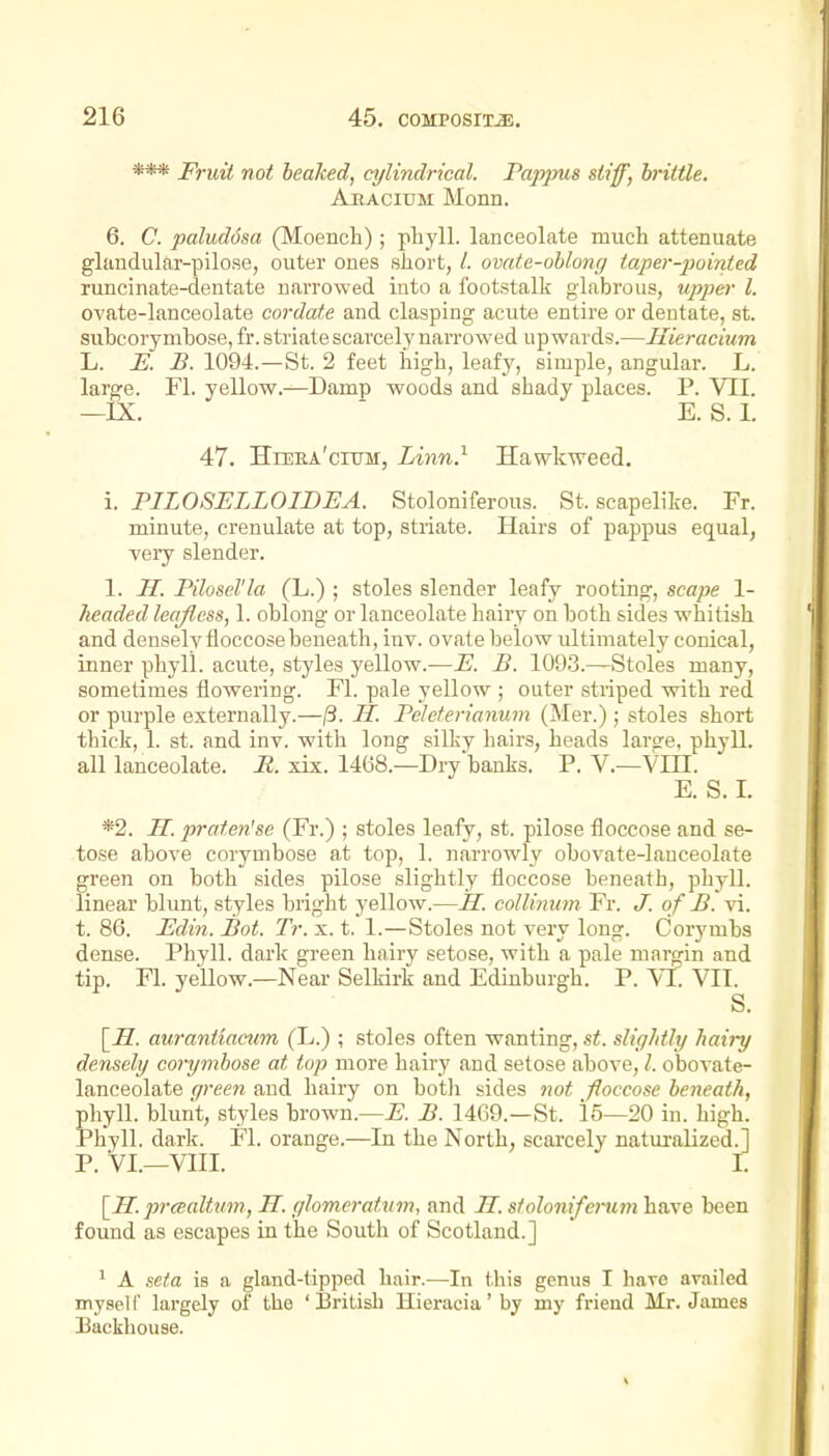 *** Fruii not leaked, cylindrical. Pappus stiff, hriltle. AiiAciDM Monn. 6. C. paludosa (Moench); phyll. lanceolate much attenuate glandular-pilose, outer ones short, /. ovate-ohlong taper-pointed runcinate-dentate n.arrowed into a footstalk glabrous, uj>per I. ovate-lanceolate cordate and clasping acute entire or dentate, st. subcorymbose, fr. striate scarcely narrowed upwards.—Hieracium L. E. B. 1094.—St. 2 feet high, leafy, simple, angular. L. large. Fl. yellow.—Damp woods and shady places. P. VII. —IX. ' E. S. I. 47. HiEEA'cruM, lAnn} Hawkweed. i. PIL08ELL0IBEA. Stoloniferous. St. scapelike. Fr. minute, crenulate at top, striate. Hairs of pappus equal, ■very slender. 1. H. Pilosel'la (L.) ; stoles slender leafy rooting, scape 1- lieaded leajiess, 1. oblong or lanceolate hairy on both sides whitish and densely lioccose beneath, inv. ovate below ultimately conical, inner phylL acute, styles yellow.—E. B. 1093.—Stoles many, sometimes flowering. Fl. pale yellow ; outer striped with red or purple externally.—/3. II. Peleterianum (Mer.); stoles short thick, 1. st. and inv. with long silky hairs, heads lai'ge, phyll. all lanceolate. R. xix. 14(58.—Dry banks. P. V.—VIII. E. S. 1. *2. 11. prafen'se (Fr.) ; stoles leafy, st. pilose floccose and se- tose above corymbose at top, 1. narrowly obovate-lauceolate green on both sides pilose slightly floccose beneath, phyll. linear hlunt, styles bright yellow.—H. coIUmun Fr. J. of B. vi. t. 86. Edin. Bot. Tr. x. t. 1.—Stoles not veiy long. Corymbs dense. Phyll. dark green hairy setose, with a pale margin and tip. Fl. yellow.—Near Selkirk and Edinburgh. P. YL. VII. S. [^S. aurantlacum (L.) ; stoles often wanting, st. sligJitly hairy densely corymbose at top more hairy and setose above, I. obovate- lanceolate qreen and hairy on both sides not foccose beneath, phyll. blurit, styles brown.—B. 1469.—St. 15—20 in. high. iPhyll. darlf. Fl. orange.—In the North, scarcely naturalized.] P. VI.—VIII. I. \_II. prcBaltum, H. glomeratum, and M. stoloniferum have been found as escapes in the South of Scotland.] ' A seta is a gland-tipped hair.—In this genus I hare availed myself largely of the 'I3ritish Hieracia' by my friend Mr. James Backhouse.