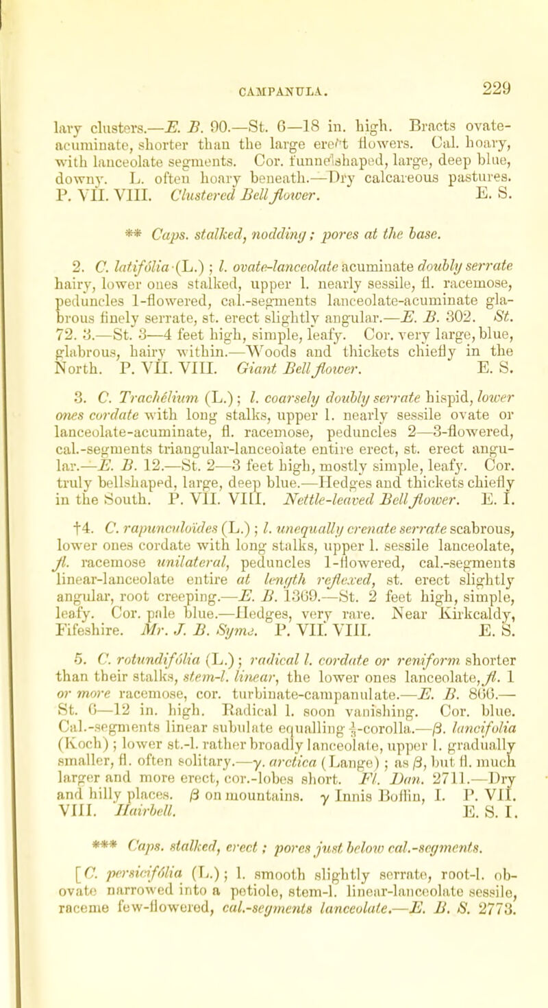 CAMPANULA. lavy clusters—i. B. 00.—St. 6—18 in. high. Bracts ovate- acuminate, shorter than the large erei't tlowers. Gal. hoary, ■with lauceolate segments. Cor. funnelshapod, large, deep blue, downy. L. often hoary beneath.—Dry calcareous pastures. P. VII. VIII. Clustered Bellflotoer. E. S. ** Caps, stalked, tioddinij; pores at the base. 2. C. lnf.ifdlia (L.) ; I. ovate-lanceolate acummaie doubly serrate hairy, h)wer ones stalked, upper 1. nearly sessile, fi. racemose, peduncles 1-flowered, cal.-segments lanceolate-acuminate gla- brous finely serrate, st. erect slightly angular.—JE. B. 302. St. 72. 'A.—St. 3—4 feet high, simple, leafy. Cor. very large, blue, glabrous, hairy ^Yithin.—Woods find thicliets chiefly in the North. P. Vn. VIII. Giant BellJtotver. E. S. .3. C. TracJielhtm (L.) ; coarsely doubly serrate hispid, lozver 07ies cordate with loug stalks, upper 1. nearly sessile ovate or lanceolate-acuminate, fl. racemose, peduncles 2—3-flowered, cal.-segments triangular-lanceolate entire erect, st. erect angu- \(iv.—B. B. 12.—St. 2—3 feet high, mostly simple, leafy. Cor. truly bellshaped, large, deep blue.—Hedges and thickets chiefly in the South. P. Vll. VIII. Nettle-leaved BellJlower. E. I. t4. C. rapuneiiloules (L.) ; I. unequally crenate serrate scabrous, lower ones cordate with long stalks, upper 1. sessile lanceolate, Jl. racemose unilateral, peduncles 1-flowered, cal.-segments linear-lanceolate entire at lenyth rejlexed, st. erect slightly angular, root creeping.—E. B. 13G9.—St. 2 feet high, simple, leafy. Cor. pale blue.—Hedges, very rare. Near Kirkcaldy, Fifeshire. Mr. J. B. Symj. P. VIL VIII. E. S. •5. C. rotundifi'ilia (L.) ; radical I. cordate or reniform shorter than their stalks, stem-l. linear, the lower ones lanceolate,_/i!. 1 or more racemose, cor. turbinate-campanulate.—B!. B. Slit).— St. 0—12 in. high. Radical 1. soon vanishing. Cor. blue. Gal.-segments linear subulate equalling-^-corolla.—/3. lancifoHa (Koch) ; lower st.-l. rather broadly lanceolate, upper 1. gradually smaller, fl. often solitary.-—y. arctica (Lange); as /3, but fl. much larger and more erect, cor.-lobos short. Fl. Dan. 2711.—Dry and hilly places, /ii on mountains, y Innis lioiHn, I. P. VII. VIII. 'Huirhell. E. S. I. *** Caps, stalked, erect; pores just below cal.-segments. [C persicifolia (L.); 1. smooth slightly serrate, root-l. ob- ovato narrowed into a petiole, stem-l. linear-lanceolate sessile, raceme few-flowered, cal.-segments lanceolate.—JE. B. S. 2773.