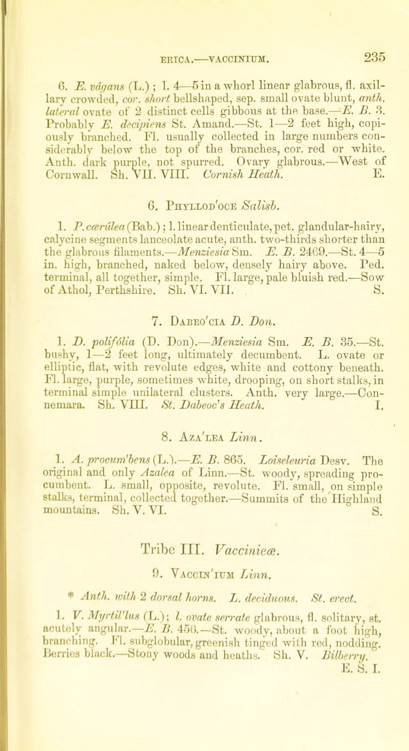 6. E. vdrjans (L.) ; 1. 4—5 in a wLorl linear glabrous, fl. axil- lary crowded, cor. short bellshaped, sep. small ovate blunt, anth. lateral ovate ot 2 distinct cells gibbous at the base.—E. B. 'A. Probably E. ilecipicns St. Amand.—St. 1—2 feet high, copi- ously branclied. Fl. usually collected in large numbers con- siderably belo-w the top of the branches, cor. red or white. Anth. dark purple, not spurred. Ovary glabrous.—West of Coruwall. Sh. Vll. VIII. Cornish Heath. E. 6. Phtllod'oce Salish. 1. P.ceeri(len(Biih.) ; 1. linear denticulate, pet. glandular-hairy, calycine segments lanceolate acute, anth. two-thirds shorter than the glabrous filaments.—Menziesia Sm. E. B. 2469.—St. 4—5 in. higb, branched, naked below, densely hairy above. Ped. terminal, all together, simple. Fl. large, pale bluish red.—Sow of Athol, Perthshire. Sh. VI. VII. . S. 7. Dabeo'cia B. Don. 1. D. poUfolia (D. Don).—Menziesia Sm. E. B. 35.—St. bushy, 1—2 feet long, ultimately decumbent. L. ovate or elliptic, flat, with revolute edges, white and cottony beneath. Fl. large, purple, sometimes white, drooping, on short stalks, in terminal simple unilateral clusters. Anth. very large.-—Con- nemara. Sh. VIII. 8t. Daheoc's Heath. I. 8. Aza'lea Linn. I. A. procum'hens(L.).—^.5.865. Loiseleuria Besv. The original and only ylzalea of Linn.—St. woodj^, spreading pro- cumbent. L. small, opposite, revolute. Fl. small, on simple stalks, terminal, collected together.—Summits of the'llighland mountains. Sh. V. VI. S. Tribe III. Vaccinieoi. 0. VACCiN'nJM Linn. * Anth. with 2 dorsal horns. L. deciduous. St. erect. 1. V. Myrtil'lus (L.); I. ovate serrate glabrous, fl. solitary, st. acutely angular.—7;,'. 7i. 4.jli.—St. woody, about a foot high, branching. Fl. snbglobular, greenish tinged with rod, nodding. Berries black.—Stony woods and heaths. Sh. V. Bilberry. E. S. I.