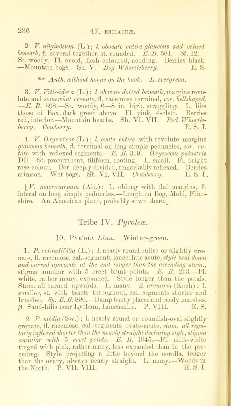 2. V. uliginosum (L.); I. obovate entire glaucous and veined beneath, fl. several together, st. rounded.—E. B. 581. St. 12.— St. woody. Fl. ovoid, flesh-coloured, nodding.—Berries black. —Mountain bogs. Sh. V. Bog-Whortlebcrnj. E. S. ** Anth. toitliout horns on the back. L. evergreen. 3. V. Vitis-idce'a (Tj.) ; I. obovate dotted beneath, margins revo- lute and sorneivhat crenate, fl. racemose terminal, cor. beUshaped. —E. B. 598.—St. woody, 6—8 in. high, straggling. L. like those of Box, dark green above. Fl. pink, 4-cleft. Berries red, inferior.—Mountain heaths. Sh. VI. VII. Red Whortle- berry. Coivberry. E. S. I. 4. V. Oxj/coc'cos (L.); I. ovate entire with revolute margins glaucous beneath, fl. terminal on long simple peduncles, cor. ro- tate with reflexed segments.—E. B. 319. O.vgcoccus palustris DO.—St. procumbent, fliiform, rooting. L. small. Fl. bright rose-colour. Cor. deeply divided, remarkably reflexed. Berries crimson.—Wet bogs. Sh. VI. VII. Cranberry. E. S. I. [ V. macrocarpuni (Ait.) ; 1. oblong with flat margins, fl. lateral on long simple peduncles.—Loughton Bog, Mold, Flint- shire. An American plant, probably sown there.] Tribe IV. Pyrolecs. 10. Ptr'ola. Linn. Winter-green. 1. P. rotimdifdlia (L.) ; 1. nearly round entii'e or slightly cre- nate, fl. racemose, cal.-segments lanceolate acute, style bent down and curved upwards at the end longer than the ascending stam., stigma annular with 5 erect blunt points.—E. B. 213.—Fl. white, ratlier many, expanded. Style longer than the petals. Stam. all turned upwards. L. many.—j3. arenaria (Koch) ; 1. smaller, st. with bracts tlu'oughout, cal.-segments sliorter and broader. Sy. E. B. 896.—Damp busliy places and reedy marshes. (8. Sand-hills near Lytham, Lancashire. P. VIII. E. S. 2. F. m6din fSw.) ; 1. neai-ly round or roundish-oval slightly crenate, fl. racemose, cal.-segments ovate-acute, stam. all regu- larly inflexed shorter than the nearly straight declining style, stigma annular with 6 erect points.—E. B. 1945.—Fl. millc-white tinged with pink, rather many, less expanded than in tlie pre- ceding. Stj'le projecting a httle beyond the corolla, longer than the ovary, always nearly straight. L. many.—Woods in the North. P. VII. VIII. E. S. I.