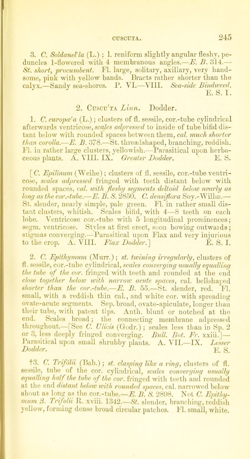 3. C. Soldand'la (L.) : 1. renifomi slightly angular fleshy, pe- duncles 1-tlowered with 4 membranous angles.—E. B. 314.— St. short, proc-umbent. Fl. large, solitary, axillary, very hand- some, pink with yellow bands. Eracts rather shorter thau the calyx.—Sandy sea-shores. P. VI.—VIII. Sea-side Bindweed. E. S. 1. 2. Cuscu'ta Linn. Dodder. 1. C. eui'opee'a (L.); clusters of fl. sessile, cor.-tube cylindrical afterwards ventricose, scales adpressed to inside of tube bifid dis- tant below with rounded spaces between them, ccd. much shorter than, corolla.—E. B. 378.—St. threadshaped, branching, reddish. Fl. in rather large clusters, yellowish.—Parasitical upon herba- ceous plauts. A. VIII. IX. Greater Doddei-. E. S. [C. Epilimtm (Weihe); clusters of fl. sessile, cor.-tube ventri- cose, scales adpressed fringed with teeth distant below with rounded spaces, cal. ivith fleshy segments deltoid helow nearly as long as the cor.-tube.—E. B. S. 2850. C. densiflora Soy.-Willm.— St. slender, nearly simple, pale green. Fl. in rather small dis- tant clusters, whitish. Scales bilid, with 4—8 teeth on each lobe. Ventricose cor.-tube with 5 longitudinal prominences; aegm. ventricose. Styles at first erect, soon bowing outwaids; sliirinas converging.—Parasitical upon Fla.\ and very injurious to the crop. A. VIII. Fla.v Dodder.] E. S. I. 2. C. Epithymum (Murr.) ; st. tiuininy irreytdarly, clusters of fl. sessile, cor.-tube cylindrical, scales conueryiny usually equalliny the tube of the cor. fringed with teeth and rounded at the end close toycther below with narroin acute spaces, cal. belLsha] ed shorter than the cor.-tvbe.—E. B. 6o.—St. .slender, rod. Fl. small, with a reddish thin cal., and white cor. with spreading ovate-acute segments. Sep. broad, ovate-apiculate, longer tluin their tube, with patent tips. Anth. blunt or notched at the end. Scales broad; the connecting membrane adpressed throughout.—[See C. Ulicis (Godr.) ; scales less thau in Sp. 2 or 3, less deeply fringed converging. Bull. Bot. Fr. xxiii.]— I'arasitical upon small .shrubby plants. A. VII.—IX. Lesser Dodder. ' S. t3. C. Trifi'dii (Bab.) ; st. clasping like a riny, clust(?rs of 11. sessile, tube of the cor. cylindrical, .sc«/es' cmweryiny usually equatliuy half the tube of the cor. fringed with teeth and rouiule'd at the end distant below tvilh rounded spares, cal. narrowed below about as long as the cor.-tube.—i?. B. S. 2808. Not C. Epithy- mum /3. Trifolii R. xviii. 1342.—-S*:. slender, branching, reddish yellow, forming dense broad circular patches. Fl. small, white.