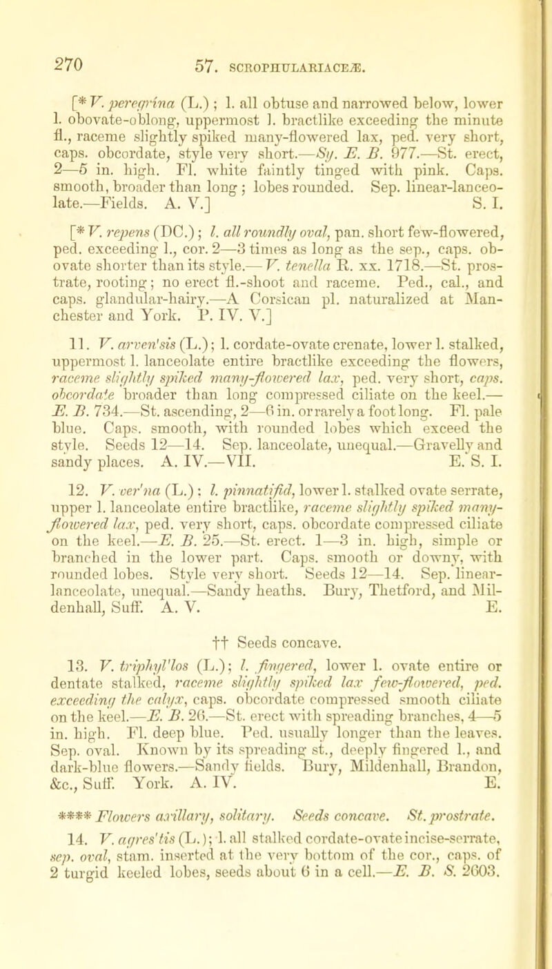 [* V. perefjrina (L.) ; 1. all obtuse and narrowed below, lower 1. obovate-oblong, uppermost 1. bractlilie exceeding tbe minute fl., raceme sligbtly spiked many-flowered lax, ped. very sbort, caps, obcordate, style very sbort.—Sy. E. B. 977.—St. erect, 2—6 in. bigb. Fl. wbite faintly tinged witb pink. Caps, smootb, broader tban long ; lobes rounded. Sep. linear-lanceo- late.—Fields. A. v.] S. I. [* V. repens (DC.) ; I. all roundly oval, pan. sbort few-flowered, ped. exceeding 1., cor. 2—3 times as long as tbe sep., caps, ob- ovate sborter tban its style.— V. tencUa R. xx. 1718.—St. pros- trate, rooting; no erect fl.-sboot and raceme. Ped., cel., and caps, glandular-bairy.—A Corsican pi. naturalized at Man- cbester and York. P. IV. V.] 11. V. arven'sis (L.); 1. cordate-ovate crenate, lower 1. stalked, uppermost 1. lanceolate entii'e bractlike exceeding the flowers, raceme slir/Mh/ spiked many-fiowered lax, ped. very sbort, caps, ohcordate broader than long compressed ciliate on tbe keel.— J?. B. 734.—St. ascending, 2—0 in. or rarely a foot long. Fl. pale blue. Caps, smooth, witb rounded lobes which exceed the style. Seeds 12—14. Sep. lanceolate, imequal.—Gravelly and sandy places. A. IV.—VII. E.'S. I. 12. V. ver'na (L.) : I. pinnatifid, lower 1. stalked ovate serrate, upper 1. lanceolate entire bractlike, raceme slightly spiked many- fiowered lax, ped. very sbort, caps, obcordate compressed ciliate on tbe keel.—E. B. 25.—St. erect. 1—3 in. high, simple or branched in tbe lower part. Caps, smootb or downy, witb rounded lobes. Style very short. Seeds 12—14. Sep. linear- lanceolate, imequal.—Sandy heaths. Bur}', Tbetford, and Mil- denhaU, Sufl^'. A. V. E. tt Seeds concave. 13. V. triphyl'los (L.); /. fiiiyercd, lower 1. ovate entire or dentate stalked, raceme sliyhtly spiked lax few-flowered, ped. exceeding the calyx, caps, obcordate compressed smooth ciliate on tbe keel.—E. B. 26.—St. erect witb spreading branches, 4—5 in. bigb. Fl. deep blue. Ped. usually longer tban tbe leaves. Sep. oval. Known by its spreading st., deeply fingered 1., and dark-blue flowers.—Sandy fields. Burv, Mildenball, Brandon, &c., Sufl. York. A. IV. - E. Elotvers a.nllary, solitary. Seeds concave. St. prostrate. 14. V. agres'tis (L.); 1. all stalked cordate-ovate incise-serrate, ,^ep. oval, stam. inserted at tbe very bottom of tbe cor., caps, of 2 turgid keeled lobes, seeds about 0 in a cell.—E. B. S. 2603.