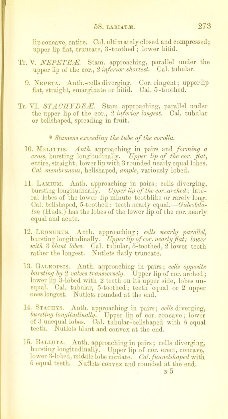 lip concave, entire. Cal. ultimately closed and compressed; upper lip flat, truncate, 3-tootlied ; lower bilid. Tr. V. NEPETE.E. Stam. approaching, parallel under the upper lip of the cor., 2 inferior shortest. Oal. tubidar. 9. Nepeta. Anth.-cells diverging. Cor. rin gent; upper lip fiat, straight, emargiuate or bitid. Oal. 5-toothed. Tr. Yl. STACRYDEJE. Stam. approaching, parallel under the upper lip of the cor., 2 inferior lonj/est. Oal. tubular or bellshaped, spreading in friut. * Stamens exceeding the tube of the coi'olla. 10. Melittis. Anth. approaching in pairs and forming a cross, bursting longitudinally. Upper lip of the cor. flat, entire, straight; lower lip with 3 rouuded nearly equal lobes. Cal. membranous, bellshaped, ample, variously lobed. 11. Lamium. Anth. approaching in pairs; cells diverging, bursting longitudinally. Upper lip of the cor. arched; late- ral lobes of the lower lip minute toothlike or rarely long. Oal. bellshaped, 5-toothed ; teeth nearly equal.—Galeobdo- lon (Huds.) has the lobes of the lower lip of the cor. nearly equal and acute. 12. Leonurus. Anth. approaching; cells nenrhj parallel, bursting longitudinally. Upper lip of cor. nearhiflat; lower loith .j blunt lobes. Oal. tubular, S-toothed, 2 lower teeth rather the longest. Nutlets flatly truncate. 13. Galeopsis. Anth. approaching in pairs; cells oppo.site bursting by 2 valves transversely. Upper lip of cor. arched; lower lip 3-lob(;d with 2 teeth on its upper side, Libes un- equal. Oal. tubular, fl-toothed; teeth equal or 2 upper ones longest. Nutlets rounded at the end. 14. Stachyh. Anth. approaching in pairs; w^/f diverging, fnirsting longitudinallg. Upper lip of cor. concave; lower of 3 unequal lobes. Oal. tubular-bellshaped with 5 equal teeth. Nutlets blunt and convex at the end. 15. BALLf)TA. Anth. approaching in pairs ; cells diverging, bursting longitudinally. Upper lip of cor. erect, concave, lower .i-lohcd, mirUUe lobe cordate. Cal. fun.neUh(iped with 5 equal teeth. Nutlets couve.x: and rounded at the end. n5