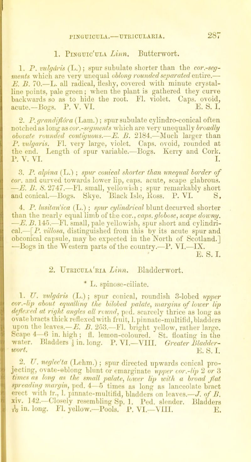 1. Pinguic'toa Linn. Buttcrworfc. 1. F. vuh/dris (h.) ; spur subulate shorter than the cor.-seg- ments -whiL'ii are very unequal ohlomj rounded separated Qx\\hx&.— E. B. 70.—L. all radical, tieshy, covered with minute crystal- line points, pale green; when the plant is gathered they curve backwards so as to hide the root. Fl. violet. Caps, ovoid, acute.—Bogs. P. V. VI. E. S. I. 2. P.grnndiflora (Lam.) ; spur subulate cylindro-conical often notched as long as cor.-segments which are very unequally broadly obviate rounded contiguous.—E. B. 2184.—Much larger than F. vulgaris. Fl. very large, violet. Caps, ovoid, rounded at the end. Length of spur variable.—Bogs. Kerry and Cork. P. V. VI. I. •3. P. alpina (L.) ; spur conical shorter than unequal harder of cor. and curved towards lower lip, caps, acute, scape glabrous. —E. B. fS. 2747.—Fl. small, yellowish; spur remarkably shoi't and conical.—Bogs. Skye. Black Isle, Koss. P. VI. S. 4. P. liisitan'ica (L.) ; spur cylindrical blunt decurved shorter than the nearly equal limb of the cor., caps, globose, scape dotuny. —E. B. 14o.—Fl. small, pale yellowish, spur short and cylindri- cal.—[P. villosa, distinguished from this by its acute spur and obconical capsule, may be expected in the North of Scotland.] —Bogs in the Western parts of the country.—P. VI.—IX. E. S. L 2. Utbicuia'eia Linn. Bladderwort. * L. spinose-ciliate. 1. U. vulgaris (L.) ; spur conical, roundish 3-lobed ujypcr cor.-lip about equallrmj the bilobcd palate, margins of hmer lip dejy.i ed at rigid angles all r<.und, pcd. scurc(!h' thrice as loug as ovate bracts thick reflexedwith fruit, I. pinnate'-multifid,bladders upon the leaves.—ii'. B. 2>5.—Fl. bright yellow, rather large. Scape 4—0 in. high ; fl. lemon-coloured. St. floating in the water. Bladders J in. long. P. VI.—VIII. Greater Bladder- wort. J<:. 8.1. 2. U. neglec'ta (Lehm.) ; spur directed upwards conical pro- jecting, ovate-ebloiig blunt or cmarginato upjier cor.-lip 2 or 3 times as long as the small palate, lower lip with a broad flat spreading margin, ptid. 4~- G times as long as lanceolate bract erect witli Ir., 1. pinnale-multilid, bladders on leaves.—7. (f B. xiv. 142. -Closely resembling Sp. ]. Ped. slender i\j in. loug. Fl. yellow.—Pools. P. VI.—VIII. Bladders E.