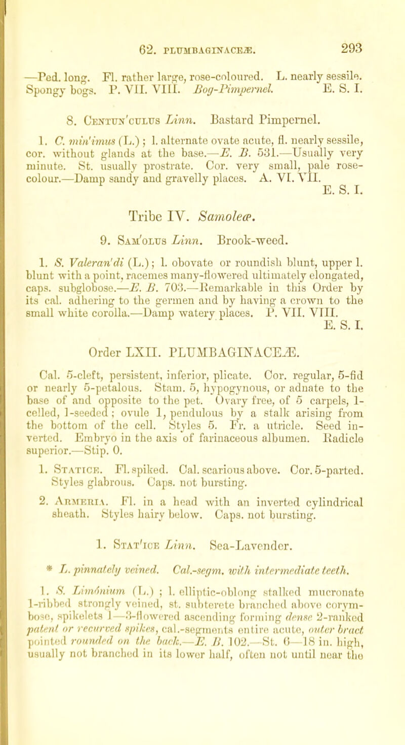 —Fed. long. Fl. rather larofe, rose-coloured. L. nearly sessile. Spongy bogs. P. VII. VIII. Boy-Pimpernel. E. S. I. 8. Centun'cttltts lAnn. Bastard Pimpernel. 1. C. min'imus (L.) ; 1. alternate ovate acute, fl. nearly sessile, cor. without glands at the base.—E. B. 531.—Usually very minute. St. usually prostrate. Cor. very small, pale rose- colour.—Damp sandy and gravelly places. A. VI. VII. Tribe IV. Samolecp. 9. Sam'olus Linn. Brook-weed. 1. S. Valeran'di (L.); 1. obovate or roundish bhmt, upper 1. blunt with a point, racemes many-tlowered ultimately elongated, caps. subgloDose.—E. B. 703.—Pemarkable in this Order by its cal. adhering to the germen and by having a crown to the small white corolla.—Damp watery places. P. VII. VIII. E. S. I. Order LXII. PLUMBAGINACE.53. Cal. /j-cleft, persistent, inferior, plicate. Oor. regular, 5-fid or nearly 5-petalous. Stam. 5, hypogynons, or adnate to the base of and opposite to the pet. Ovary free, of 5 carpels, 1- celled, 1-seeded ; ovule 1, pendulous by a stalk arising from the bottom of the cell. Styles 5. Fr. a utricle. Seed in- verted. Embryo in the axis of farinaceous albumen, liadiclo superior.—Stip. 0. 1. Statice. Fl.spiked. Cal. scariousabove. Cor. 5-parted. Styles glabrous. Caps, not bursting. 2. Armeria. Fl. in a head with an inverted cylindrical sheath. Styles hairy below. Caps, not bursting. 1. Stat'ice Linn. Sea-Lavcndcr. * L. pinnatehj veined. Cal.-segm. xvith intermediate teeth. 1. S. Lim6nium (L.) ; 1. elliptic-oblong stalked mnoronato l-i-ibbcd strongly veined, st. subtereto bi'anchod above c{)rym- bose, spikelets 1—3-flowfred ascending forming dense 2-rankod patent or recurved spikes, cal.-seginents entire acute, outer bract pointed rounded on the hark.—E. B. 102.—St. 6—18 in. high, usually not branched in its lower half, often not until near the