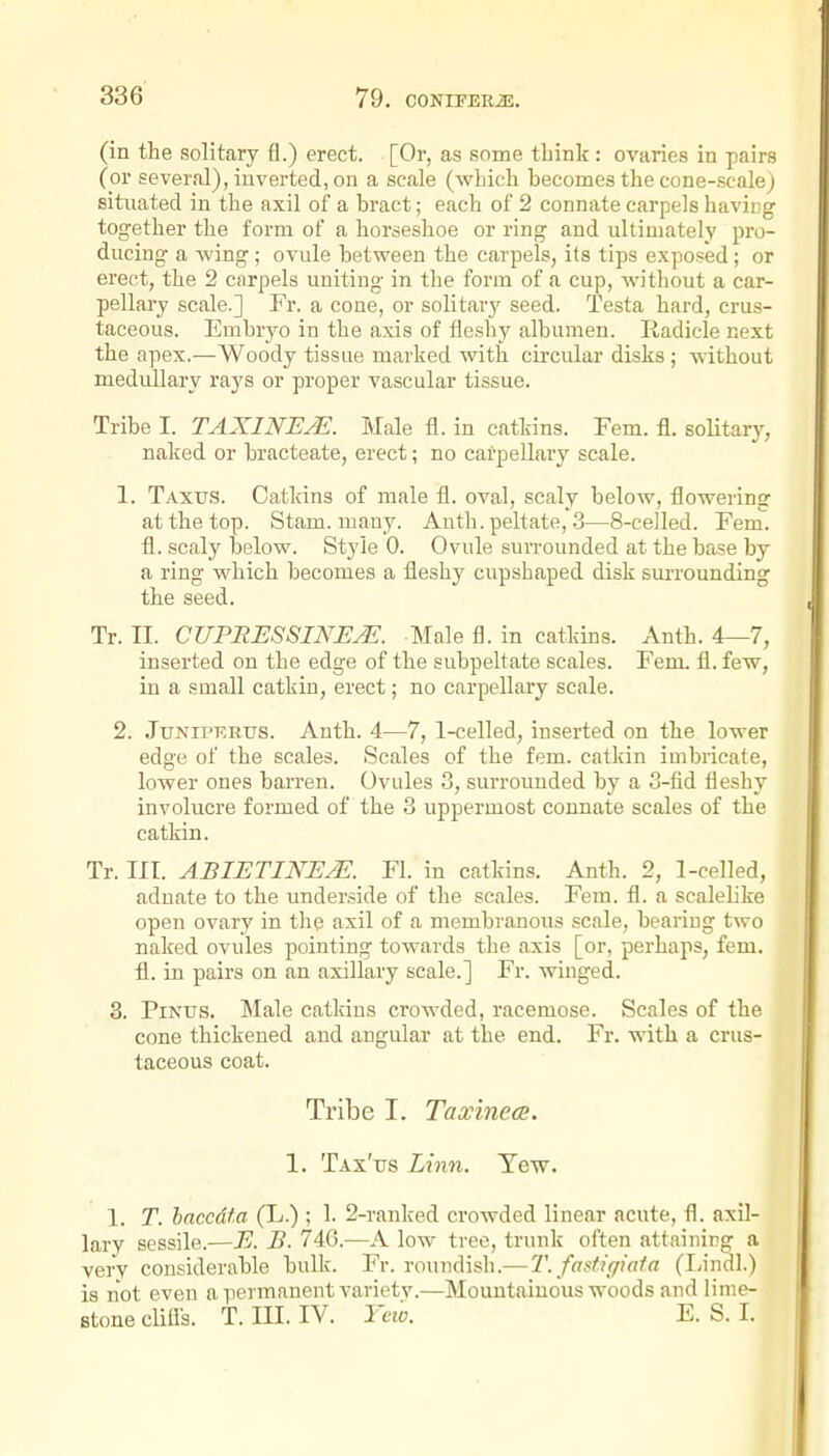 (in the solitary fl.) erect. [Or, as some tliink: ovaries in pairs (or several), iuverted, on a scale (which becomes the cone-scale) situated in the axil of a bract; each of 2 connate carpels having together the form of a horseshoe or ring and ultimately pro- ducing a -wing; ovule between the carpels, its tips exposed; or erect, the 2 carpels uniting in the form of a cup, without a car- pellary scale.] Fr. a cone, or solitar}' seed. Testa hard, crus- taceous. Embryo in the axis of fleshy albumen. Radicle next the apex.—Woody tissue marked with circular disks ; without medullary rays or proper vascular tissue. Tribe I. TAXINEM. Male fl. in catkins. Fern. fl. solitary, naked or bracteate, erect; no carpeUary scale. 1. Taxus. Catkins of male fl. oval, scaly below, flowering at the top. Stam. many. Anth. peltate, 3—8-celled. Fem. fl. scaly below. Stj'Je 0. Ovule surrounded at the base by a ring which becomes a fleshy cupshaped disk suiTounding the seed. Tr. II. CUPRESSINEM. Male fl. in catkins. Anth. 4—7, inserted on the edge of the subpeltate scales. Fem. fl. few, in a small catkin, erect; no carpellary scale. 2. JuNii'KRUs. Anth. 4—7, 1-celled, inserted on the lower edge of the scales. Scales of the fem. catkin imbricate, lower ones barren. Ovules 3, surrounded by a 3-fid fleshy involucre formed of the 3 uppermost connate scales of the catkin. Tr. III. ABIETINE/E. Fl. in catkins. Anth. 2, 1-celled, adnate to the underside of the scales. Fem. fl. a scalelike open ovary in the axil of a membranous scale, bearing two naked ovules pointing towards the axis [or, perhaps, fem. fl. in pairs on an axillary scale.] Fr. winged. 3. PiNUS. Male catkins crowded, racemose. Scales of the cone thickened and angular at the end. Fr. with a crus- taceous coat. Tribe I. Taxinece. 1. Tax'tjs Linn. Tew. 1. T. haccdta (L.) ; 1. 2-ranked crowded linear acute, fl. axil- lary sessile.—E. B. 746.—A low tree, trunk often attaining a verv considerable bulk. Fr. roundish.—1\ fasfif/iafa (Lindl.) is not even a permanent varietv.—Mountainous woods and lime- Btone clifls. T. III. IV. Yew. E. S. I.