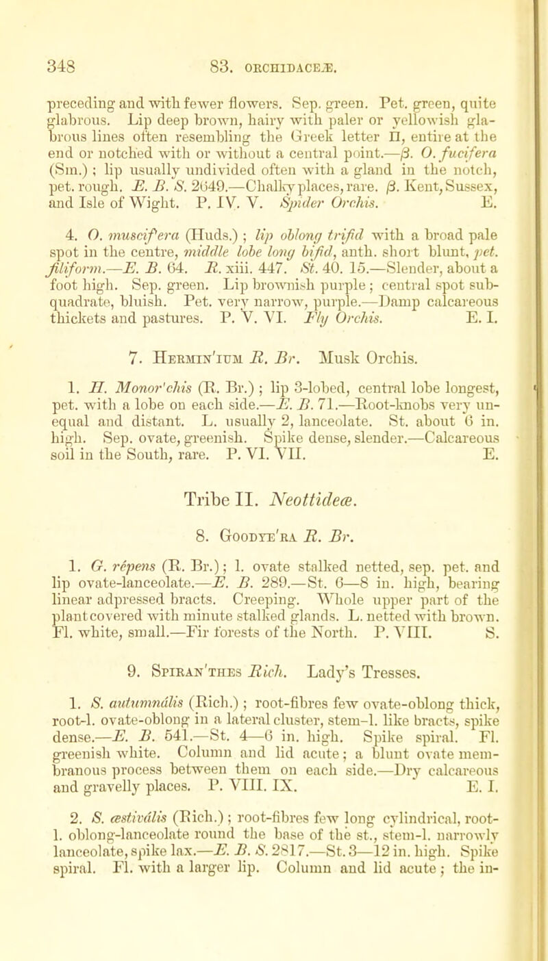 preceding and with fewer flowers. Sep. green. Pet. green, quite glabrous. Lip deep brown, hairy with paler or yellowish gla- brous lines often resembling tbe Greeli letter n, entire at the end or notched with or without a central point.—/3. O.fucifera (Sm.); hp usually undivided often with a gland in the notch, pet. rough. E. B. S. 2(j49.—Challr^^places, rare. /3. Kent, Sussex, and Isle of Wight. P. IV. V. Spider Orchis. E. 4. O. muscifera (Huds.) ; lip ohhnr/ trifid with a broad pale spot in the centre, middle lobe long bifd, anth. shoit blunt, ]>et. filiform.—E. B. 64. R. xiii. 447. -Sl 40. 15.—Slender, about a foot high. Sep. green. Lip bro^^^^ish purple ; central spot sub- quadrate, bluish. Pet. ver_y narrow, purple.—Damp calcareous thickets and pastures. P. V. VI. Fly Orchis. E. I. 7. Hermin'ium B. Br. Musk Orchis. 1. H. Monor'cMs (R,. Br.) ; lip 3-lobed, central lobe longest, pet. with a lobe on each side.-—E. B. 71.-—Poot-knobs very un- equal and distant. L. usually 2, lanceolate. St. about 6 in. high. Sep. ovate, greenish. Spike dense, slender.—Calcareous soil in the South, rare. P. VI. VU. E. Tribe II. Neottidece. 8. Goodte'ra B. Br. 1. G. rcpens (P. Br.); 1. ovate stalked netted, sep. pet. and lip ovate-lanceolate.—E. B. 289.—St. 6—8 in. high, bearing linear adpressed bracts. Creeping. Whole upper part of the plant covered with minute stalked glands. L. netted with brown. Fl. white, small.—Fir forests of the North. P. VIIT. S. 9. SpiRiiN'THES Bieli. Lady's Tresses. 1. S. autnmndlis (Rich.); root-fibres few ovate-oblong thick, root-1. ovate-oblong in a lateral cluster, stem-1. like bracts, spike dense.—-E. B. 541.—St. 4—6 in. high. Spike spiral. Fl. greenish white. Column and lid acute; a blunt ovate mem- branous process between them on each side.—Dry calcareous and gravelly places. P. VIII. IX. E. I. 2. S. (Bstivdlis (Eich.) ; root-fibres few long cylindrical, root- 1. oblong-lanceolate round the base of the st., stem-1. narrowly lanceolate, spike \nx.—E. B. S. 2817.—St. 3—12 in. high. Spike spiral. Fl. with a larger lip. Column and lid acute ; the in-