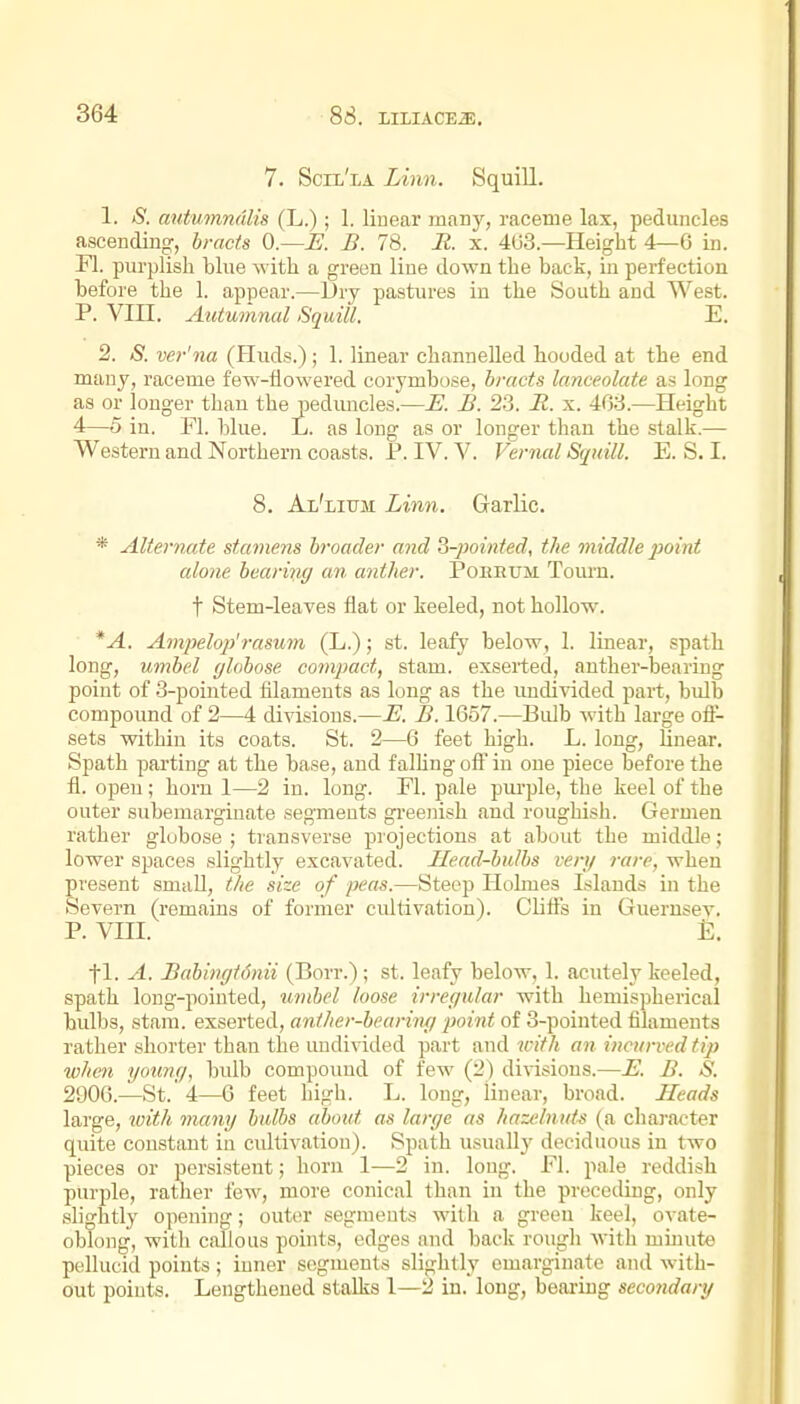 7. Scix'la Linn, Squill. 1. S. autumndlis (L.); 1. liuear many, raceme lax, peduncles ascendino', bracts 0.—E. B. 78. R. x. 4(33.—Height 4—6 in. Fl. purplish blue with a green line down the back, in perfection before the 1. appear.—Dry pastiu-es in the South and West. P. Vin. Autumnal Squill. E. 2. S. ver'na (Huds.); 1. linear channelled hooded at the end many, raceme few-flowered corymbose, bracts lanceolate as long as or longer than the pedimcles.—E. B. 23. R. x. 463.—Height 4—5 in. Fl. blue. L. as long as or longer than the stalk.— Western and Northern coasts. P. IV. V. Vernal Squill. E. S. I. 8. Al'lium Linn. Garlic. * Alternate stamens broader and o-})ointed, the middle ]}oini alone bearing an anther. Poehum Tourn. t Stem-leaves flat or keeled, not hollow. *A. Ampelo})'rasum (L.); st. leafy below, 1. linear, spath long, umbel (jlobose compact, stam. exserted, anther-bearing point of 3-pointed filaments as long as the imdivided part, bulb compound of 2—4 divisions.—E. B. 1657.—Bulb with large off- sets within its coats. St. 2—6 feet high. L. long, linear. Spath parting at the base, and falhngoft'in one piece before the fl. open; horn 1—2 in. long. El. pale purple, the keel of the outer subemargiuate segments greenish find roughish. Germen rather globose ; transverse projections at about the middle; lower sjiaces slightly excavated. Head-bulbs very rare, when present small, the size of peas.—Steep Plohnes Lilands in the Severn (remains of former cultivation). Clifts in Guerusev. P. vni. E. fl. A. Babingtihiii (Borr.); st. leafy below, 1. acutely keeled, spath long-pointed, umbel loose irreffular with hemispherical bulbs, stam. exserted, anther-bearimi point of 3-pointed filaments rather shorter than the undivided part and jcjy/j an incurved tip when younc/, bulb compound of few (2) divisions.—E. B. S. 2906.—St. 4—6 feet high. L. long, linear, broad. Heads large, ^vith many bulbs about as large as hazelnuts (a character quite constant in cidtivatiou). Spath usually deciduous in two pieces or persistent; horn 1—2 in. long. El. pale reddish purple, rather few, more conical than in the procodiug, only slightly opening; outcu segments with a green keel, ovate- oblong, with callous points, edges and back rough with miuute pellucid points; inner segments slightly emarginate and with- out points. Lengthened stalks 1—2 in. long, bearing seco7idary