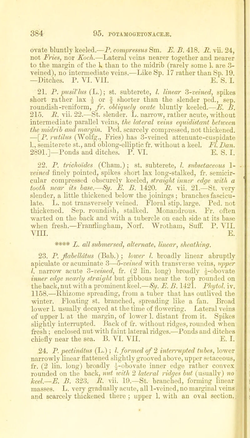 ovate bluntly keeled.—P. compressus Sm. E. B. 418. It, vii. 24, not Fries, nor Koch.—Lateral veins nearer together and nearer to the margin of the k than to the midrib (rarely some 1. are 3- veined), no intermediate veins.—Like Sp. 17 rather than Sp. 19. —Ditches. P. VI. VII. E. S. I. 21. P. pusil'lus (L.); st. subterete, I. linear S-veined, spikes short rather lax ^ or f shorter than the slender ped., sep. roundish-reniform, fr. obliquely ovate bluntly keeled.—£. B. 215. B. vii. 22.—St. slender. L. narrow, rather acute, without intermediate parallel veins, the lateral veins equidistant between the midrib and margin. Ped. scarcely compressed, not thickened. —[P. rutilus (Wolfg., Fries) has 3-veined attenuate-cuspidate 1., semiterete st., and oblong-elliptic fr. without a keel. Fl. Dan. 2891.]—Ponds and ditches. P. VI. E. S. I. 22. P. trichoules (Cham.) ; st. subterete, I. subsetaceous 1- - veined finely pointed, spikes short lax long-stalked, fr. semicir- cular compi'essed obscurely keeled, straight inner edge luith a tooth near its base.—Sy. E. B. 1420. B. vii. 21.—St. very slender, a little thickened below the joinings ; branches fascicu- late. L. not transversely veined. Floral stip. large. Ped. not thickened. Sep. roimdish, stalked. Monaudrous. Fr. often warted on the back and with a tubercle on each side at its base when fresh.—Franilingham, Norf. Wrotham, Sufi'. P. VIII. E. **** L. all submersed, alternate, linear, sheathing. 23. P. Jlabelldtus (Bab.) ; lower I. broadly linear abruptly apiculate or acuminate 3—5-vcined with transverse veins, upper I. narroAv acute o-veined, fr. (2 lin. long) broadl^v f-obovate inner edge nearly straight but gibbous near the top rounded on the back, nut with a prominent keel.—Sy. E. B. 1421. Pltgtol. iv. 1158.—Rhizome spreadhig, from a tuber that has outlived the winter. Floating st. branched, spreading like a fan. Broad lower 1. usually decayed at the time of fiowering. Lateral veins of upper L at the margin, of lower 1. distant from it. Spikes slightly interrupted. Back of fr. without ridges, roiuided when fresh; enclosed nut with faint lateral ridges.—Ponds and ditches chiefly near the sea. B. VI. VII. E. I. 24. P. pectindtus (L.); I. formed of 2 inten-upfed tubes, lower narrowly linear flattened slightly grooved above, upper setaceous, fr. (2 lin. long) broadly ^-obovate inuer edge rather convex rounded on the back, nut ivith 2 lateral ridges but (usually) no keel.—E. B. 323. B. vii. 19.—St. branched, forming linear masses. L. very gradually acute, all 1-veinod, no marginal veins and scarcely thickened there ; upper 1. with an oval section.