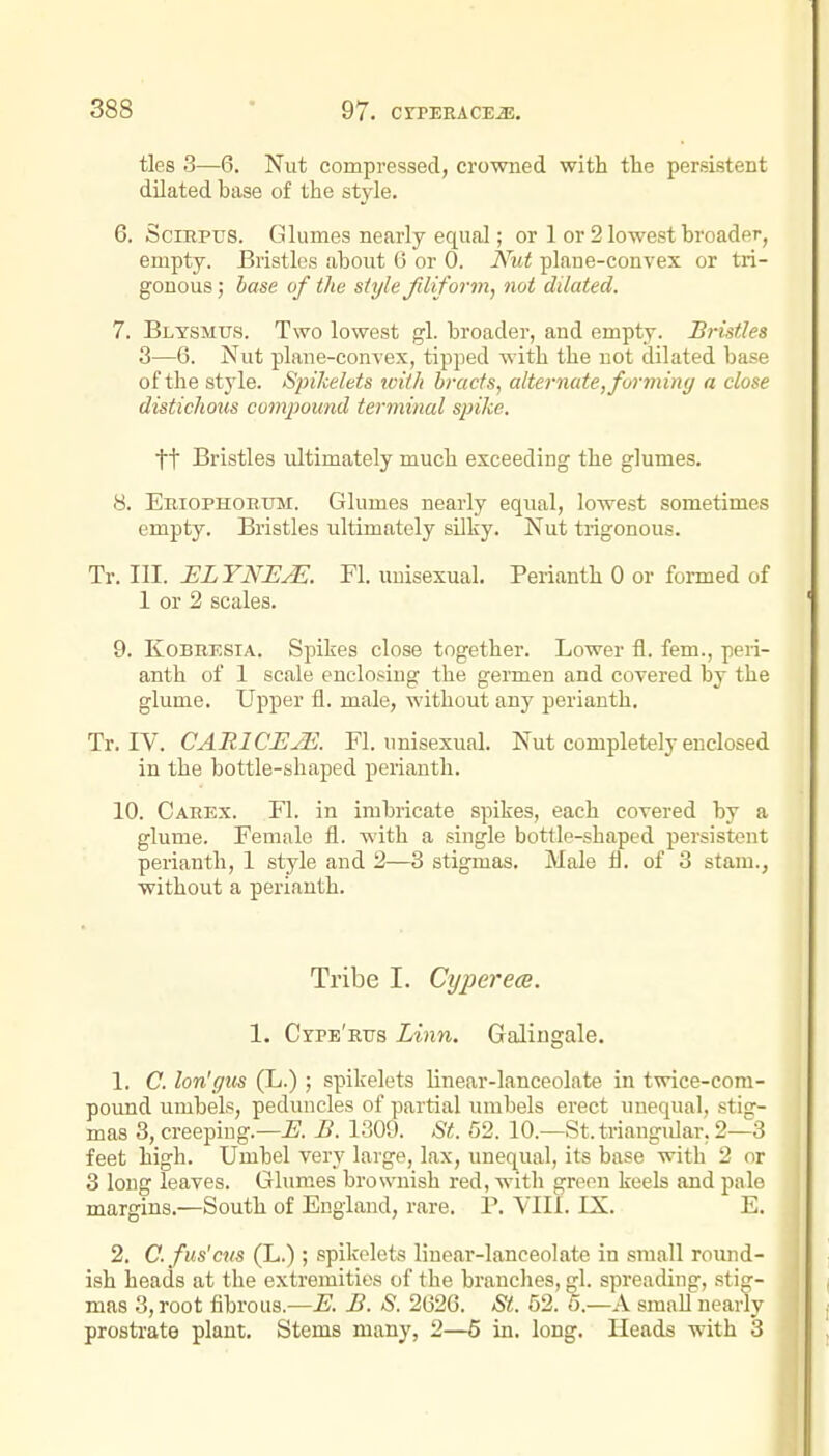 ties 3—6, Nut compressed, crowned with the persistent dilated base of the style. 6. SciRPUS. Glumes nearly equal; or 1 or 2 lowest hroader, empty. Bristles about (5 or 0. Nut plaue-convex or tri- gonous ; lase of tlie siyh Jiliform, not dilated. 7. Bltsmus. Two lowest gl. broader, and empty. Bristles 3—6. Nut plaue-convex, tipped with the not dilated base of the style. Sinkelets ivith brads, alternate,forminy a close distichous compound terminal spike. tt Bristles ultimately much exceeding the glumes. 8. EnioPHOHXTM. Glumes nearly equal, lowest sometimes empty. Bristles ultimately silky. Nut trigonous. Tr. III. ELYNEJE. Fl. unisexual. Perianth 0 or formed of 1 or 2 scales. 9. KoBRESiA. Spikes close together. Lower fl. fem., peri- anth of 1 scale enclosiug the germen and covered by the glume. Upper fl. male, without any perianth. Tx.lW CARICEjE. Fl. unisexual. Nut completely enclosed in the bottle-shaped perianth. 10. Caeex. Fl. in imbricate spikes, each covered by a glume. Female fl. with a single bottle-shaped persisteut perianth, 1 style and 2—3 stigmas. Male fi. of 3 stam., without a perianth. Tribe I. Cyperece. 1. Cype'rtts Linn. Galingale. 1. C. lon'gus (L.) ; spikelets linear-lanceolate in twice-com- pound umbels, peduncles of partial umbels erect unequal, stig- mas 3, creeping.—-E. B. 1309. St. 52. 10.—St. triangular, 2—3 feet high. Umbel very large, lax, unequal, its base with 2 or 3 long leaves. Glumes brownish red, with green keels and pale margins.—South of England, rare. P. YIIl. IX. E. 2. C.fus'cus (L.) ; spikelets linear-lanceolate in small round- ish heads at the extremities of the branches, gl. spreading, stig- mas 3, root fibrous.—-B. B. S. 2(32G. St. 52. 5.—A small nearly prostrate plant. Stems many, 2—5 in. long. Heads with 3