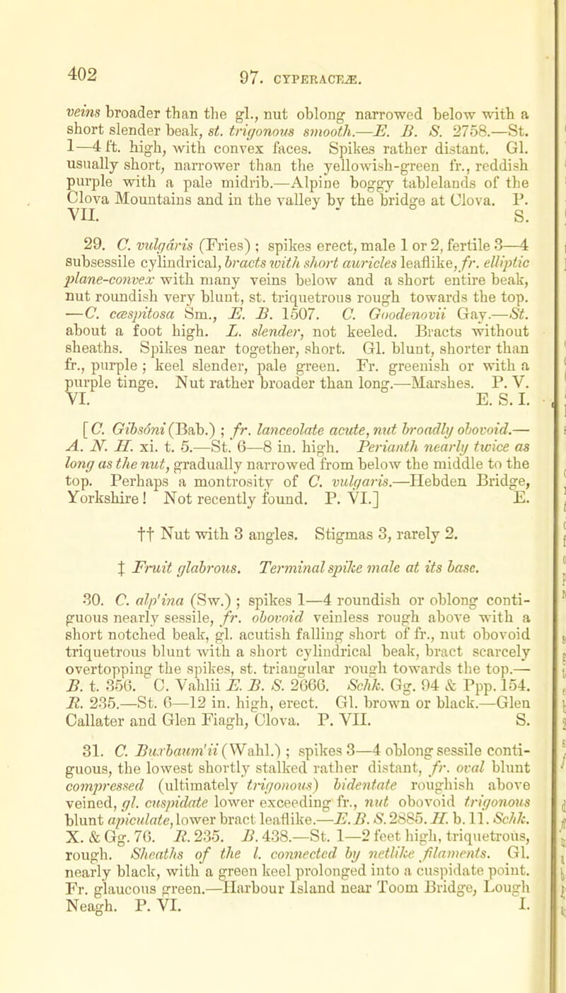 veins broader than the gl., nut oblong narrowed below with a short slender beak, st. trigonous smooth.—E. B. S. 2758.—St. 1—4 ft. high, with convex faces. Spikes rather distant. Gl. usually short, narrower than the yellowish-green fr., reddish purple with a pale midrib.—Alpine boggy tablelands of the Clova Mountains and in the valley bv the bridge at Clova. P. YU. J . o g 29. C. vulgaris (Fries) ; spikes erect, male 1 or 2, fertile .3—4 subsessile cylindrical, bracts with short auricles leaflike, fr. elliptic plane-cotivex with many veins below and a short entire beak, nut roundish very blunt, st. triquetrous rough towards the top. —C. ccespitosa Sm., _& £. 1607. C. Goodenovii Gay.—St. about a foot high. L. slender, not keeled. Bracts without sheaths. Spikes near together, short. Gl. blunt, shorter than fr., purple; keel slender, pale green. Fr. greenish or with a purple tinge. Nut rather broader than long.—Marshes. P. V. VI. E. S. I. [ C. Gibsdni (Bab.) ; fr. lanceolate acute, nut hroadlij ohovoid.— A. JV. 11. xi. t. 5.—St. 6—8 in. high. Perianth nearlij twice as long as the nut, gradually narrowed from below the middle to the top. Perhaps a montrosity of C. vulgaris.—Hebden Bridge, Yorkshire! Not recently found. P. VI.] E. tt Nut vsdth 3 angles. Stigmas 3, rarely 2. X Fruit glabrous. Terminal spike male at its base, .30. C. alp'ina (Sw.) ; spikes 1—4 roundish or oblong conti- guous nearly sessile, fr. obovnid veinless rough above with a short notched beak, gl. acutish falling short of fr., nut obovoid triquetrous blunt with a short cylindrical beak, bract scarcely overtopping the spikes, st. triangular rous-h towards the top.— £. t. 356. C. Vahlii K B. S. 2666. Schk. Gg. 94 & Ppp. 154. B. 235.—St. 6—12 in. high, erect. Gl. brown or black.—Glen Oallater and Glen Fiagh, Clova. P. VII. S. 31. C. Bu.rbaum'ii(Wa.h\.) ; spikes 3—4 oblong sessile conti- guous, the lowest shortly stalked rather distant, fr. oval blunt comp7-essed (ultimately tngonous) bidentate roughish above veined, i;/. c!fS7)(c?«ie lower exceeding'fr., nut obovoid trigonous blunt apiculate, lower bract leaflike.—E. B. S. 2885. H. b. 11. Schk. X. & Gg. 76. B. 235. B. 438.—St. 1—2 feet liigh, triquetrous, rough. Sheaths of the I. connected by netlike filaments. Gl. nearly black, with a green keel prolonged into a cuspidate point. Fr. glaucous green.—llarbour Island neai' Toom Bridge, Lough Neagh. P. VI. I.