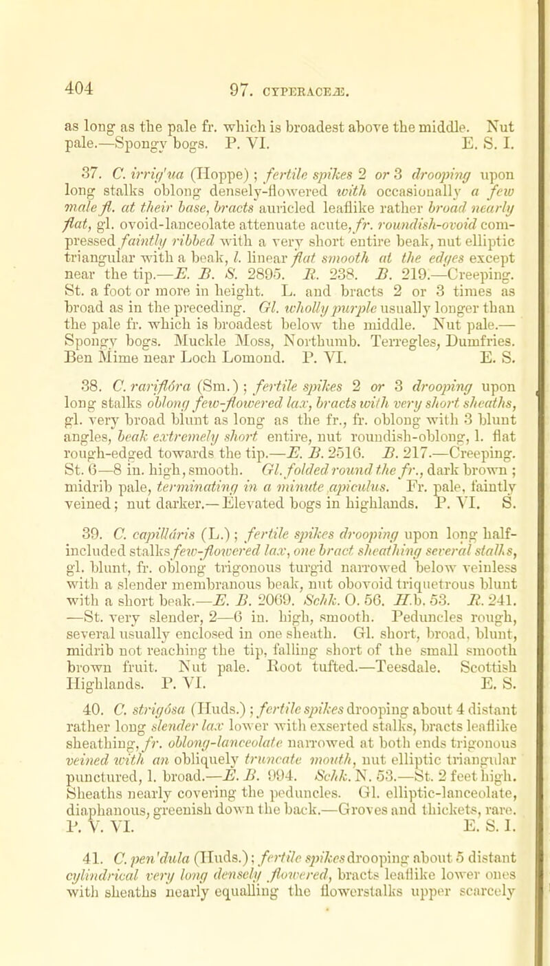 as long as the pale fr. which is broadest above the middle. Nut pale.—Spongy bogs. P. VI. E. S. I. 37. C. irrig'ua (Hoppe); fertile spikes 2 or 3 drooping iipon long stalks oblong densely-fiowered ivith occasionally a few malefl. at their base, bracts auricled leaflike rather broad nearly fiat, gl. ovoid-lanceolate attenuate acute, /)', roundish-ovoid corn- er esseA. faintly ribbed with a very short entire beak, nut elliptic triangular with a beak,linear s?;(oo^/t at the ef/c/es except near the tip.—i^. B. S. 2895. 11. 238. £. 219.—Creeping. St. a foot or more hi height. L. and bracts 2 or 3 times as broad as in the preceding. Gl. wholly^mrple usually louger than the pale fr. which is broadest below the middle. Nut pale.— Spongy bogs. Muclile Moss, Noi'thiimb. Terregles, Dumfries. Ben Mime near Loch Lomond. P. VI. E. S. 38. C.7-arifl6ra {^m.); fertile spikes 2 or 3 drooping upon long stalks oblong few-flowered lax, bracts with very short sheaths, gl. very broad blunt as long as the fr., fr. oblong with 3 blunt angles, beak extremely short entire, nut roundish-oblong, 1. flat rough-edged towards the tip.—E. B. 2516. B. 217.—Creeping. St. 6—8 in. high, smooth. Gl. folded round the fr., dai-k brown ; midrib pale, terminatinci in a mimde .ajncuius. Fr. pale, faintly veined; nut darker.—Elevated bogs in highlands. P. VI. S. 39. C. capilldris (L.); fertile Sjnkes drooping upon long half- included stalks few-fioxvcred la.v, one bract sheathing several stalls, gl. blunt, fr. oblong trigonous turgid narrowed below veiuless with a slender membranous beak, nut obovoid triquetrous blunt with a short beak.—^. B. 2009. Schk. 0. 56. ^.b. 53. li.. 241. -—St. very slender, 2—6 in. high, smooth. Peduncles rough, several usually enclosed in one sheath. Gl. short, broad, blunt, midrib not reaching the tip, falling short of the small smooth brown fruit. Nut pale. Root tufted.—Teesdale. Scottish Highlands. P. VI. E. S. 40. C. strigosa (Huds.) ; fertile spikes drooping about 4 distant ratlier long slender lax lower witli exserted stallvs, bracts leaflike sheathing,/r. oblong-lanceolate naiTowed at both ends trigonous veined with an obliquelv truncate mouth, nut elliptic triauErular punctured, 1. broad.—-B. B. !)94. Schk. N. 53.—St. 2 feet high. Sheaths nearly covering the peduncles. Gl. elliptic-lanceolate, diaphanous, greenish down the back.—Groves and thicliets, I'are. P. V. VI. E. S. I. 41. C. pen 'dula (Huds.); fertile spikes drooping about 5 distant cylindrical very long densely flowered, bracts leafiike lower ones witli sheaths nearly equalling the tlowerstalks upper scarcely