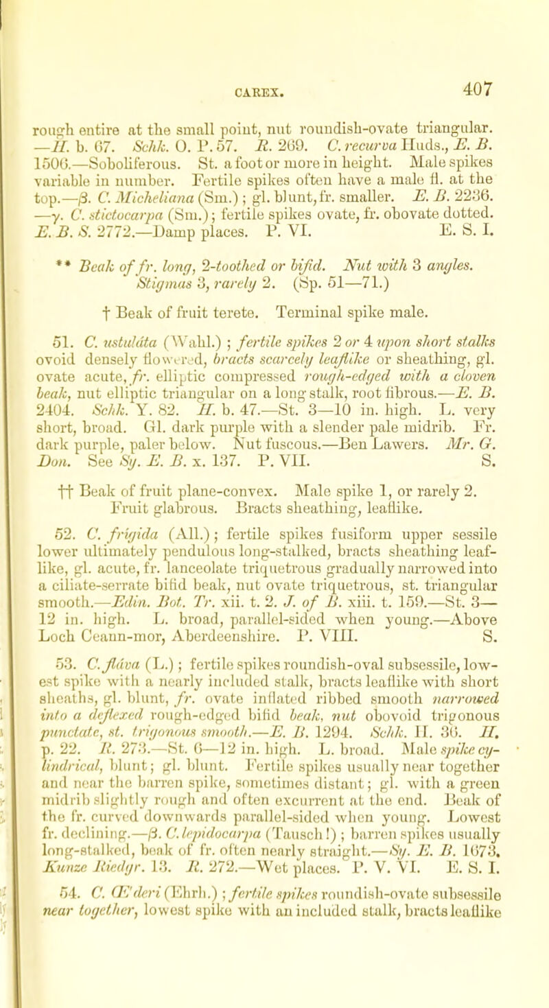 roitffh entire at tlie small poiut, nut rouudisb-ovate triangular. —//. b. 07. Schk. 0. r. 57. H. 2U'J. C. recurva Huds., K B. 150G.—Soboliferous. St. afootor more in beigbt. Male spikes variable in number. Fertile splices oftou bave a male H. at tbe top.—/3. C. Micheliana (Sm.) ; gl. blunt,fr. smaller. JE. B. 2236. —y. C. litictucarpa (Sm.); fertile spikes ovate, fr. obovate dotted. E. B. S. 2772.—Damp places. P. VI. E. S. I. *• Beak of fr. long, 2-toothed or hifid. Nut luith 3 angles. Stigmas 3, rarely 2. (Sp. 51—71.) t Beak of fruit terete. Terminal spike male. 51. C. Kstuldta (Wabl.) ; fertile spikes 2 or 4 upon short stalks ovoid densely tlov\ i rjd, bracts scarcely leajiike or sbeathing, gl. ovate acute,/)•. elliptic compressed rough-edged with a cloven beak, nut elliptic trianyailar on a long stalk, root librous.—E. B. 2404. Schk. Y. 82. II. b. 47.—St.' 3—10 in. higb. L. very sbort, broad. Gl. dark purple witb a slender pale midrib. Fr. dark purple, paler below. Nut fuscous.—Ben Lawers. Mr. G. Don. See Sy. E. B. x. 137. P. VII. S. tt Beak of fruit plane-convex. Male spike 1, or rarely 2. Fruit glabrous. Bracts sbeatbiug, leailike. 52. C. frigida (All.); fei'tile spikes fusiform upper sessile lower ultimately pendulous long-stalked, bracts slieatbing leaf- like, gl. acute, fr. lanceolate triquetrous gradually narrowed into a ciliate-serrate bifid beak, nut ovate triquetrous, st. triangular smootb.—^</m. Bat. Tr. xii. t. 2. /. of B. xiii. t. 169.—St. 3— 12 in. bigb. L. broad, parallel-sided wben young.—Above Locb Ceann-mor, Aberdeenshire. P. VIII. S. 53. C.fidva (L.); fertile spikes roundisli-oval subsessile, low- est spiku witii a nearly iucluded stalk, bracts leaflike witb sbort sbealba, gl. blunt, fr. ovate inflated ribbed smooth narrowed into a dcjlexcd rough-edged bifid beak, nut obovoid trigonous punctate, st. trigonous smooth.—E. B. 1294. Schk. 11. 30. II, p. 22. li. 273.—St. G—12 in. high. L. broad. 'Main spike cy- lindrical, blunt; gl. blunt. Fertile spikes usually near together and near the barren spike, sometimes distant; gl. with a green midril) slightly rough and often excurnint at the end. Beak of the IV. curved downwards parallel-sided when young. Lowest fr. declining.—[i. C.lejndocarpa (Tausch !) ; barren spikes usually long-stalked, boak of fr. often nearly straight.—Sy. E. B. 1073. Kunze Itiedgr. 13. R. 272.—Wet places. P. V. Vl. E. S. I. 54. C. (K'dcri (Ehrli.) ; fertile spikes roundish-ovate subsessile near together, lowest spike with an iucluded stalk, bractsleatlike