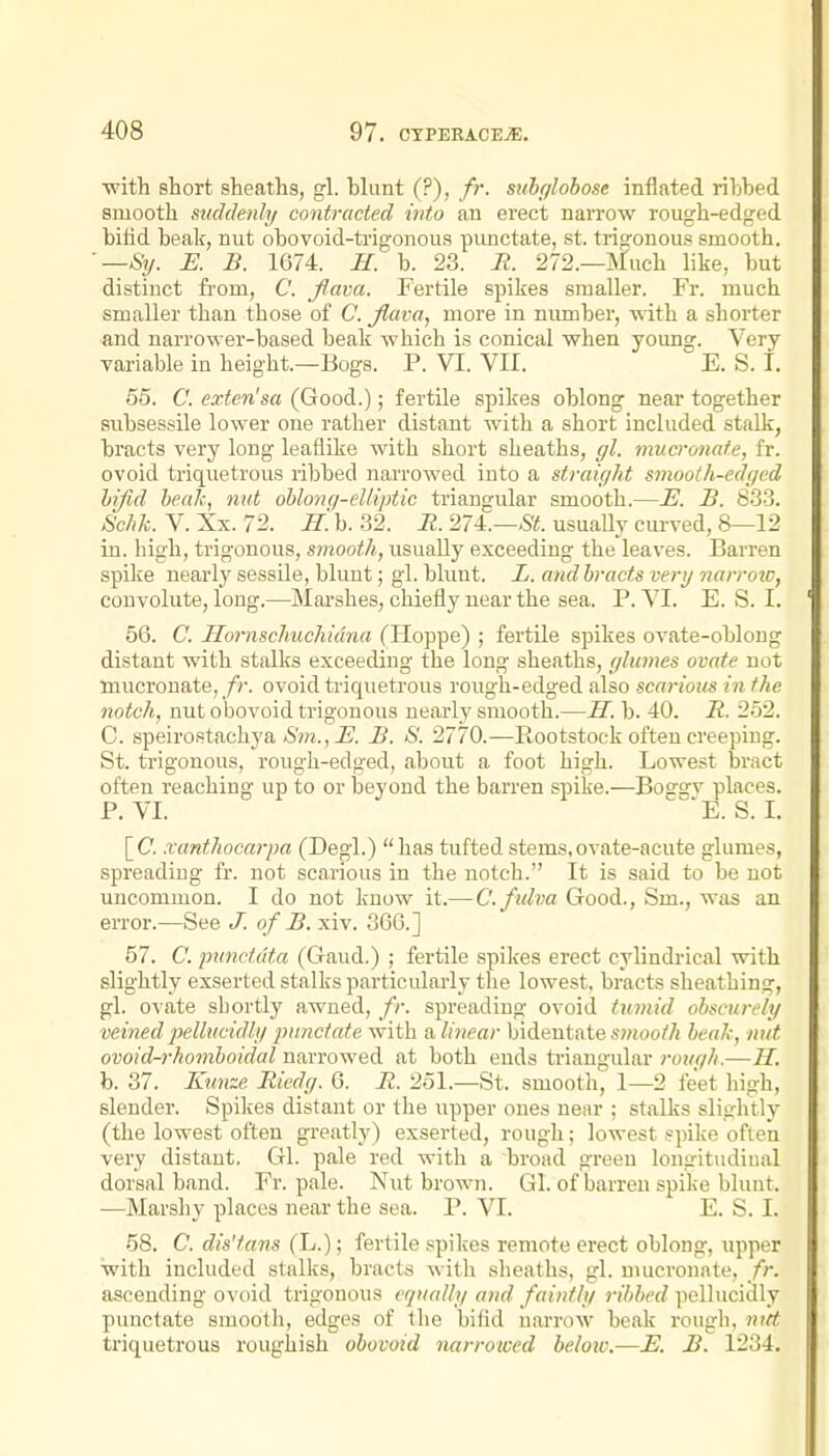 with short sheaths, gl. blunt (?), fr. suhglobose inflated rihbed smooth suddenly contracted into an erect narrow rough-edged bihd beak, nut obovoid-trigonous punctate, st. trigonous smooth. —Sy. E. B. 1674. H. b. 23. R. 272.—Much like, but distinct from, C. fiava. Fertile spikes smaller. Fr. much smaller than those of C. fiava, more in niunber, with a shorter and narrower-based beak which is conical when young. Very variable in height.—Bogs. P. VI. VII. E. S. 1. 55. C. exten'sa (Good.); fertile spikes oblong near together subsessile lower one rather distant with a short included stalk, bracts very long leaflike with short sheaths, gl. mucronate, fr. ovoid triquetrous ribbed narrowed into a straight smooth-edged hi/Id heah, nut ohlonq-eUiptic triangular smooth.—E. B. 8.3-3. 8chk. V. Xx. 72. H. b. 32. R. 27i.—St. usually curved, 8—12 in. high, trigonous, smooth, usually exceeding the leaves. Barren spike neai'ly sessile, blunt; gi. blunt. L. and bracts very narro%c, convolute, long.—Marshes, chiefly near the sea. P. VI. E.S.I. 56. C. Hornschuchidna (Hoppe) ; fertile spikes ovate-oblong distant with stalks exceeding the long sheaths, glumes ovate not mucronate, ovoid triquetrous rough-edged also scariom in the notch, nut obovoid trigonous nearly smooth.—H. b. 40. R. 252. C. speirostachya <S'm., i/. B. S. 2770.—Rootstock often creeping. St. trigonous, rough-edged, about a foot high. Lowest bi'act often reaching up to or beyond the barren spike.—Bossv places. P. VI. '''E. S. I. [C. .vanthocarpa (Degl.) has tufted stems,ovate-acute glumes, spreading fr. not scarious in the notch. It is said to be not uncommon. I do not know it.— C.fidva Good., Sm., was an error.—See J. of B. xiv. 366.] 57. C. punctata (Gaud.) ; fertile spikes erect cylindi-ical with slightly exserted stalks particularly the lowest, bracts sheathing, gl. ovate shortly awned, spreading ovoid tumid obscurely veinedpellucidly punctate with Vilinear bidentates?«oort beak, nut ovoid-rhomhoidal narrowed at both ends triangular rough.—H. h. 37. Kunze Riedg. 6. R. 251.—St. smooth, 1—2 feet high, slender. Spikes distant or the upper ones near ; stalks slightly (the lowest often greatly) exserted, rough; lowest ?pike often very distant. Gl. pale red with a broad green longitudinal dorsal band. Fr. pale. Nut brown. Gl. of barren spike blunt. —Marshy places near the sea. P. VI. E. S. I. 58. C. dis'tans (L.); fertile spikes remote erect oblong, upper with included stalks, bracts with sheaths, gl. mucronate, fr. ascending ovoid trigonous equally and faintly ribbed pellucidly punctate smooth, edges of tlie bifld narrow beak rougli. ntrt. triquetrous roughish obovoid mirrowed beloio.—E. B. 1234.