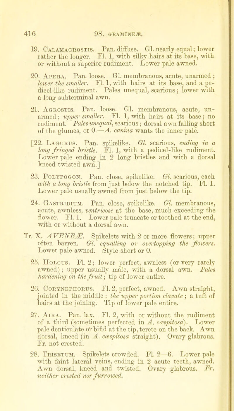 19. Calamagrostis. Pan. diffuse. Gl. nearly equal; lower rather the longer. Fl. 1, with silky hairs at its base, with or without a superior rudiment. Lower pale awned. 20. Apera. Pan. loose. Gl. membranous, acute, unarmed ; loiuer the smaller. Fl. 1, with hairs at its base, and a pe- dicel-like rudiment. Pales unequal, scarious; lower with a long subterminal awn. 21. Agrostis. Pan. loose. Gl. membranous, acute, un- armed ; U2')per smaller. Fl. 1, with hairs at its base; no rudiment. Pales unequal, scarious; dorsal awn falling short of the glumes, or 0.—A. canina wants the inner pale. [22. Lagtjrus. Pan. spikelike. Gl. scarious, ending in a long fringed bristle. Fl. 1, with a pedicel-lilre rudiment. Lower pale ending in 2 long bristles and with a dorsal kneed twisted awn.] 23. PoLYPOGON. Pan. close, spikelike. Gl. scarious, each with a long bristle from just below the notched tip. Fl. 1. Lower pale usually awned from just below tbe tip. 24. GASTBiDnxM. Pan. close, spilcelike. Gl. membranous, acute, awnless, ventricose at the base, much exceeding the flower. Fl. 1. Lower pale truncate or toothed at the end, with or without a dorsal awn. Tr. X. A VENEJS. Spikelets with 2 or more flowers; upper often barren. Gl. equalling or oiwtopping the /lowers. Lower pale awned. Style short or 0. 25. HoLcus. Fl. 2; lower perfect, awnless (or very rarely awned); upper usually male, with a dorsal awn. Pales hardening on the fruit; tip of lower entire. 26. OoRTNEPHORFS. Fl. 2, perfect, awned. Awn straight, jointed in the middle : the upper portion clavatc ; a tuft of hairs at the joining. Tip of lower pale entire. 27. AiRA. Pan. lax. Fl. 2, with or without the rudiment of a third (sometimes perfected in A. crrspifosa). Lower pale denticulate or bifid at the tip, terete on the back. Awn dorsal, kneed (in A. ccesintosa straight). Ovary glabrous. Fr. not crested. 28. Trisettjm. Spikelets crow^ded. Fl. 2—6. Lower pale with faint lateral veins, ending in 2 acute teeth, awnied. Awn dorsal, kneed and twisted. Ovary glabrous. Fr. neither crested nor furroived.