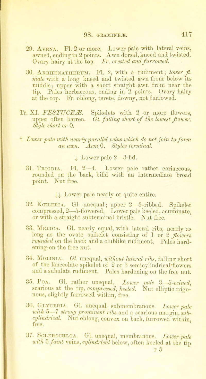 29. AvENA. Fl. 2 or more. Lower pale with lateral veins, awned, ending in 2 points. Awu dorsal, kneed and twisted. Ovarj hairy at the top. Fr. cresicd and furrowed. 30. Ajirhenathebum. Fl. 2, with a rudiment; lower fi. male with a long kneed and twisted awn from below its middle; upper with a short straight awn from near the tip. Pales herbaceous, ending in 2 points. Ovary hairy at the top. Fr. oblong, terete, downy, not furrowed. Tr. XI. FESTUCE^. Spikelets with 2 or more flowers, upper often barren. Gl. falling short of the loxoest Jloiver. Style short or 0. t Lower pale tvith nearly parallel veins which do not join to form an aivn. Aivn 0. Styles terminal. 4 Lower pale 2—3-fid. 31. Tbiodia. Fl. 2—4. Lower pale rather coriaceous, rounded on the back, bifid vnth an intermediate broad point. Nut free. 4.4. Lower pale nearly or quite entire. 32. KcELERiA. Gl. unequal; upper 2—3-ribbed. Spikelet compressed, 2—S-flowered. Lower pale keeled, acuminate, or with a straight subterminal bristle. Nut free. 33. Melica. Gl. nearly equal, with lattiral ribs, nearly as long as the ovate spikelet consisting of 1 or 2 flowers rounded on the back and a clublike rudiment. Pales hard- ening on the free nut. 34. Mdlinia. Gl. unequal, luithout lateral rihs, falling short of the lanceolate spikelet of 2 or 3 .somicylindrical-fiowers and a subulate rudiment. Pales hardening on the free nut. 35. PoA. Gl. rather unequal. Lower pale 3—5-veined, scarious at the tip, compressed, keeled. Nut elliptic trigo- nous, sliglitly furrowed witliin, free. 3G. Gr.vcErUA. 01. unequal, subnicinbranous. Lonwr pale with 5—7 stronr/ prominmt ribs and a scarious margin, a'm/;- rylindrieul. Nut oblong, convex on bade, lurrowed witliin, free. 37. Scr.EROcnLOA. 01. unequal, m(!nibrniious. Lower pale ivith b faint \ema, cylindrical below, often keeled at the tip T 5