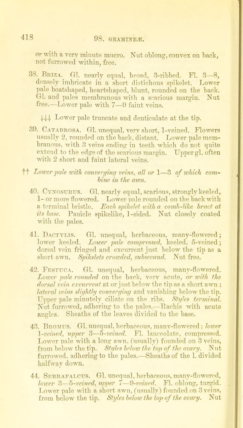 Or with a vei-y miuute mucro. Nut oblong, convex on baclr, not furrowed within, free. 88. Briza._ G1. nearly equal, broarl, .S-ribbed. Fl. .3—8, densnly imbricate in a short distichous spikelet. Lower pale boatshaped, heartshaped, blunt, rounded on the back. G-1. and pales membranous with a searious margin. Nut free.—Lower pale with 7—9 faint veins. 141 Lower pale truncate and denticulate at the tip. 89. Catabrosa. G1. imeqnal, very short, 1-veined. Flowers usually 2, rounded on the bade, distant. Lower pale mem- brannus, with 8 veins endine in teeth which do not quite extend to the edge of the scarions margin. Upper gl. often witli 2 short and faint lateral veins. tt I'Otver jxde 2oith converf/iuf/veins, all or 1—-B of lohich com- bine in the aion. 40. Cynosurus. Gl. nearly equal, scnrious, strongly keeled, 1- or more flowered. Lower pale roimded on the back with a terminal bristle. Each spikelct with a comh-Jihe bract at its base. Panicle spikelike, 1-sided. Nut closely coated with the pales, 41. Dactyms. Gl. vmequal, herbaceous, many-flowered; lower keeled. Lower pale compressed, keeled, 5-veined; dorsal vein fringed and excurrent just below the tip as a short awn. Spikelets croivded, subsecund. Nut free. 42. Festuca, Gl. unequal, hei-baceous, many-flowered. Lower pale rounded on the back, verv acute, or with the dorsal rein excurrent at or just below Ihe tip as a short awn : lateral veins slif/hthj conrerfiimi and vanishing below the tip. Upper pale minutely ciliate on the ribs. Stifles terminal. Nut furrowed, adhering to the pales.—Eachis with acute angles. Sheaths of the leaves divided to the base. 43. Bno'NrFS. Gl. unequal, herbaceous, manv-flowered: lower 1-veined, upper 3—5-veined. Fl. Innceolnte. compressed. Lower pale with a long' awn, (usually) founded on 3 veins, from below the tip. Sfi/les below the top of the ovarii. Nut furrowed, adhering to the pales,-—Sheaths of the 1, divided halfway down. 44. Sf.rrafat.cus. Gl. unequal, herbaceous, many-flowered, loiver 8—5-veined, npper 7—^-reined. Fl. oblong, turgid. Lower pale with a short nwn, (usually) founded on 3 veins, from below the tip. Styles bclozo the top of the ovary. Nut