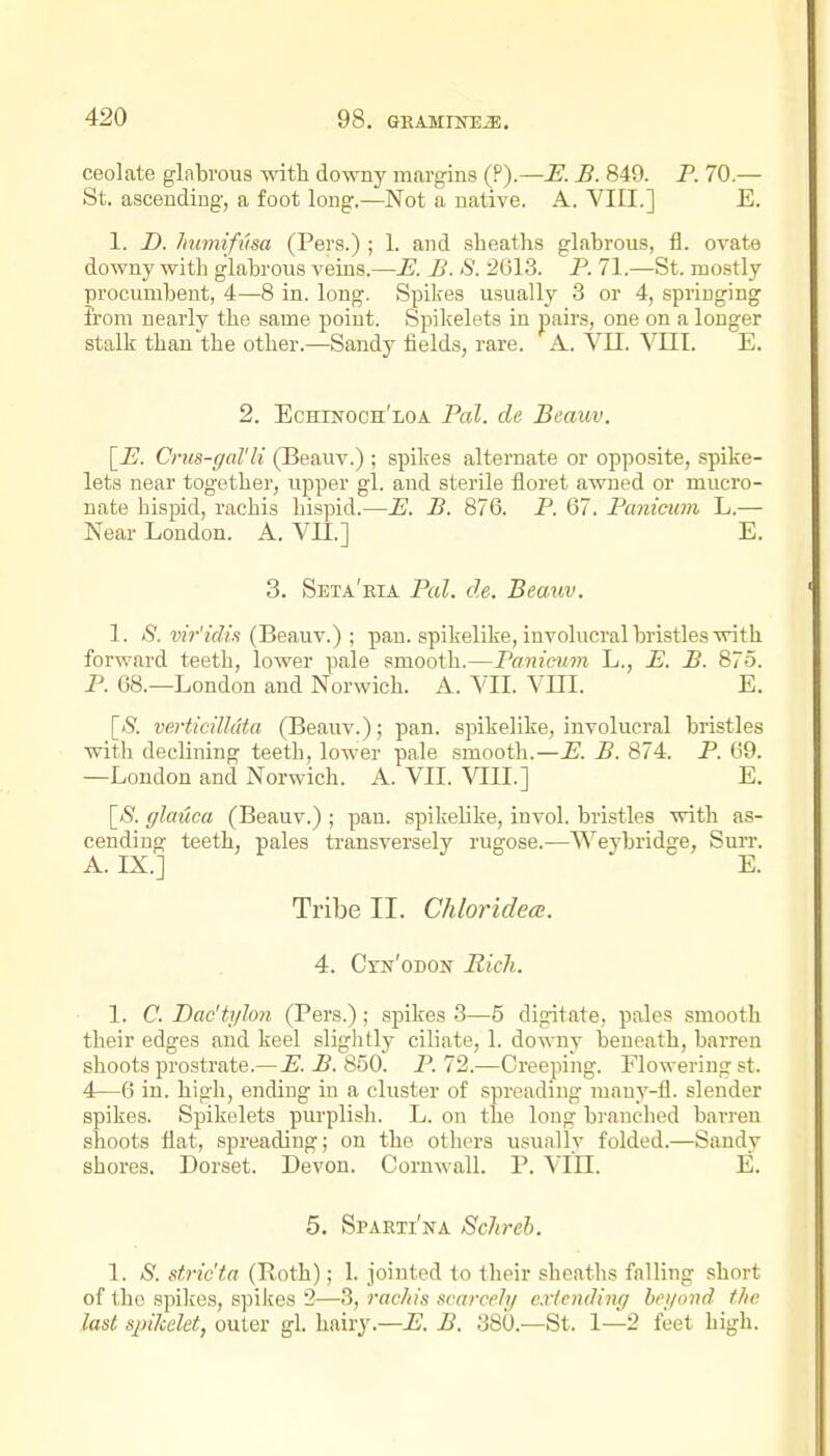ceolate glabrous with downy margins (P).—E. B. 849. P. 70.— St. ascending, a foot long.—Not a native. A. VIII.] E. 1. D. humifusa (Pars.) ; 1. and sheaths glabrous, fl. ovate downy with glabrous veins.—E. B. S. 2G13. P. 71.—St. mo.stly procumbent, 4—8 in. long. Spikes usually 3 or 4, springing from nearly the same poiut. Spikelets in pairs, one on a longer stalk than the other.—Sandy fields, rare. A. VII. Vllt. E. 2. Echinoch'loa Pal. de Beauv, l_E. Crus-gal'li (Beauv.) ; spikes alternate or opposite, spike- lets near together, upper gl. and sterile floret awned or mucro- nate hispid, rachis hispid.—E. B. 876. P. 67. Pcmieuin L.— Near London. A. VII.] E. 3. Seta'ria Pal. de. Beauv. 1. S. vir'idis (Beauv.) ; pan. spikelike, involucral bristles with forward teeth, lower pale smooth.—Panicum L., E. B. 875. P. 68.—London and Norwich. A. VII. VHI. E. [<S'. verticilkUa (Beauv.); pan. spikelike, involucral bristles with declining teeth, lower pale smooth.—E. B. 874. P. 69. —London and Norwich. A. VII. VIII.] E. [S. glauca (Beauv.) ; pan. spikelike, invol. bristles with as- cending teeth, pales transversely rugose.—Weybridge, Surr. Tribe II. Chlorideoe. 4. Cyn'odon Bicli. 1. C. Dac'tyhn (Pers.); spikes 3—5 digitate, pales smooth their edges and keel sliglitly ciliate, 1. downy beneath, barren shoots prostrate.— E. B. 850. P. 72.—Creeping. Flowering st. 4—6 in. high, ending in a cluster of spreading niauy-fl. slender spikes. Spikelets purplish. L. on the long branclied barren shoots flat, spreading; on the othei-s usually folded.—Sandy shores. Dorset. Devon. Cornwall. P. VIEE. E. 5. Sparti'na Sckreb. 1. S. stric'ta (Both); 1. jointed to their sheaths falling short of the spikes, spikes 2—3, rachis scarcely extending beyond the last sjnJcelet, outer gl. hairy.—E. B. 380.—St. 1—2 feet high.