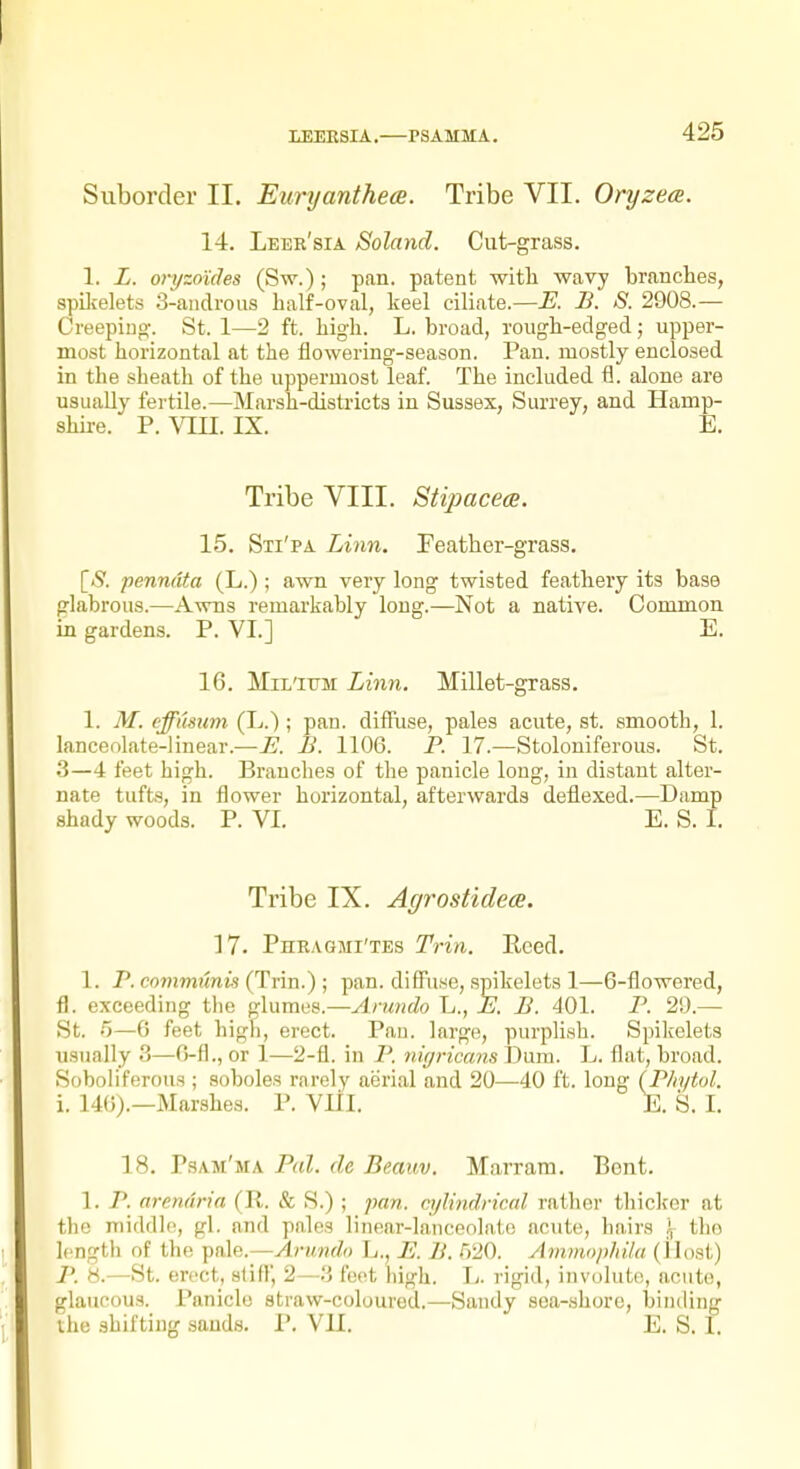 Suborder II. Eiiryanthea. Tribe VII. Oryzece. 14. Leer'sia Soland, Cut-grass. 1. L. oryzotdes (Sw.); pan. patent with wavy branches, spDielets 3-aiidroiis half-oval, keel ciliate.—E. B. S. 2908.— Creepino;. St. 1—2 ft. high. L. broad, rough-edged; upper- most horizontal at the flowering-season. Pan. mostly enclosed in the sheath of the uppermost leaf. The included fl. alone are usually fertile.—Marsh-districts in Sussex, Surrey, and Hamp- shire. P. vin. IX. E. Tribe VIII. Stipacece. 15. Sti'pa Linn. Feather-grass, ^S. penndta (L.); awn very long twisted feathery its base glabrous.—Awns remarkably long.—Not a native. Common in gardens. P. VI.] E. 16. Mii'iTTM Linn. Millet-grass. 1. M. cffnsum (L.); pan. difiuse, pales acute, at. smooth, 1. lanceolate-linear.—^. £. 1106. P. 17.—Stoloniferous. St. 3—4 feet high. Branches of the panicle long, in distant alter- nate tufts, in flower horizontal, afterwards deflexed.—Damp shady woods. P. VI. E. S. I. Tribe IX. Agrostidece. 17. Phragmi'tes Trin. Eced. 1. P. cowmMriM (Trin.) ; pan. difFu.se, spikeleta 1—6-flowered, fl. exceeding the glumes.—An(7ido L., I!. B. 401. P. 20.— St. 5—6 feet high, erect. Pau. large, purplish. Spilcelets usually 3—0-fl., or 1—2-fl. in 7^. nigricans I3um. L. flat, broad. Soboliferous; soboles rarely aerial and 20—40 ft. long (Bhytol. i. 140).—Marshes. P. Vlll. E. S. I. 18. Psam'ma Pal. de Beauv. Marram. Bent. 1. P. arendria (R. & S.) ; pan. cylindrical rather thicker at the middle, gl. and pnles linear-lanceolate acute, hairs .\ the Icngtli of the pale.—Arnndo L., H. H. mO. AnvHo/i/iiJa (jlost) 1\ H.—St. erect, stiff, 2—3 feet high. Ij. rigid, involute, acute, glaucous. Panicle straw-coloured.—Saudy sea-shore, binding the shifting sands. P. VH. E. S. I.