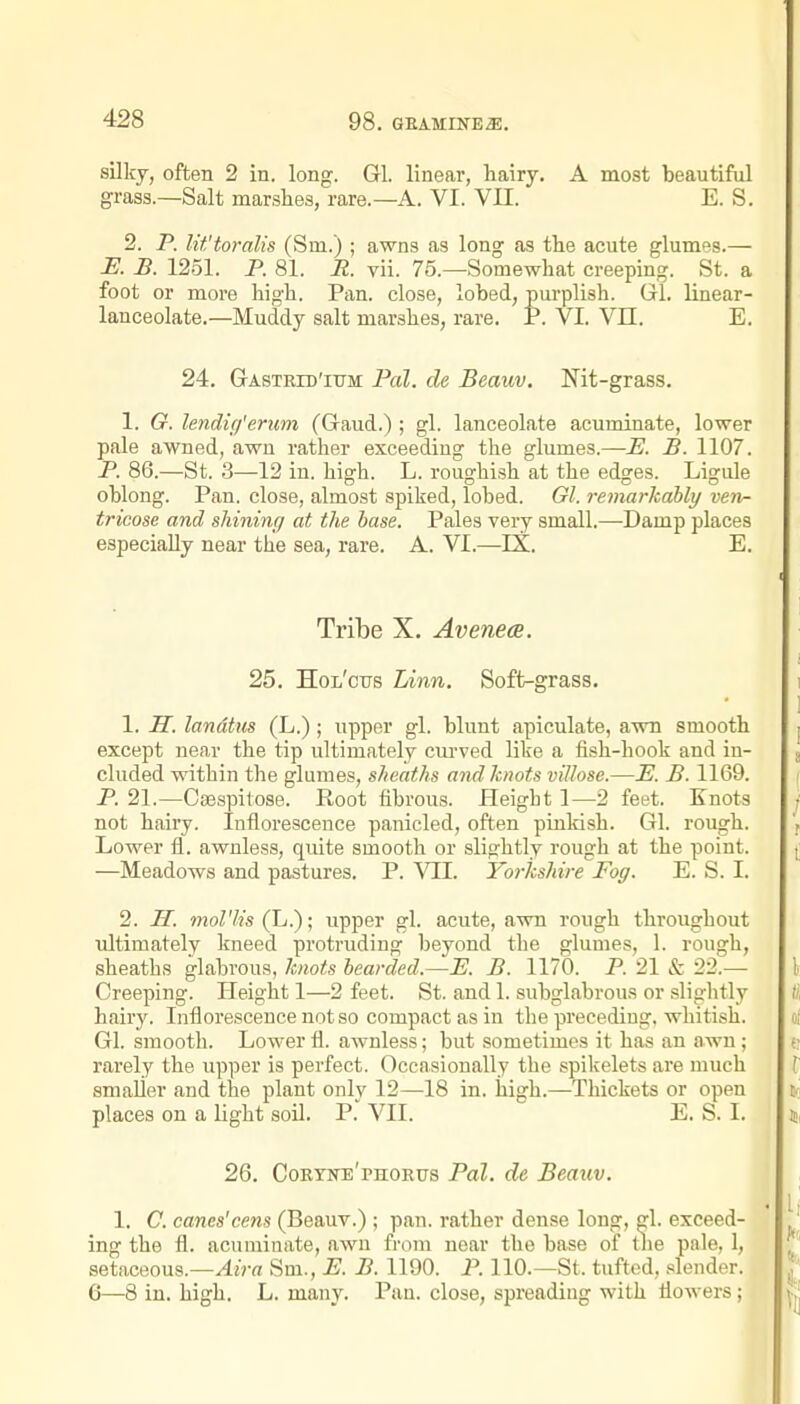 silky, often 2 in. long. Gl. linear, hairy. A most beautiful grass.—Salt marshes, rare.—A. VI. VII. E. S. 2. P. lit'toralis (Sm.) ; awns as long as the acute glumes.— E. B. 1251. P. 81. R. vii. 75.—Somewhat creeping. St. a foot or more high. Pan. close, lobed, purplish. Gl. linear- lanceolate.—Muddy salt marshes, rare. P. VI. VII. E. 24. Gastrid'ium Pal. tie Beauv. Nit-grass. 1. G. lendiff'erum (Gaud.) ; gl. lanceolate acuminate, lower pale awned, awn rather exceeding the glumes.—JE. B. 1107. P. 86.—St. 3—12 in. high. L. roughish at the edges. Ligule oblong. Pan. close, almost spiked, lobed. Gl. remarkably verir- tricose and shining at the base. Pales very small.—-Damp places especially near the sea, rare. A. VI.—IX. E. Tribe X. Avenece. 25. Hol'ctts Linn. Soft-grass. 1. a. landtus (L.); upper gl. blunt apiculate, awn smooth except near the tip ultimately cm-ved like a fish-hook and in- cluded within the glumes, sheaths and knots villose.—E. B. 1169. P. 21.—Csespitose. Root fibrous. Height 1—2 feet. Knots not hairy. Inflorescence panicled, often pinldsh. Gl. rough. Lower fl. awnless, quite smooth or slightly rough at the point. —Meadows and pastures. P. YIl. Yorkshire Fog. E. S. I. 2. H. moriis (L.); upper gl. acute, awn rough throughout ultimately kneed protruding beyond the glumes, 1. rough, sheaths glabrous, knots bearded.—K B. 1170. P. 21 cSk 22.— Creeping. Height 1—2 feet. St. and 1. subglabrous or slightly hairy. Inflorescence not so compact as in the preceding, whitish. Gl. smooth. Lower fl. awnless; but sometimes it has an awn; rarely the upper is perfect. Occasionally the spikelets are much smaller and the plant only 12—18 in. high.—Thickets or open places on a light soil. P. VII. E. S. I. 26. Cortne'phorus Pal. de Beauv. 1. C. canes'cens (Beauv.) ; pan. rather dense long, \. exceed- ing the fl. acuminate, awn from near the base of u\e pale, 1, setaceous.—^jVrt Sm., E. B. 1190. P. 110.—St. tufted, slender. 6—8 in. high. L. many. Pau. close, spreadiug with flowers;