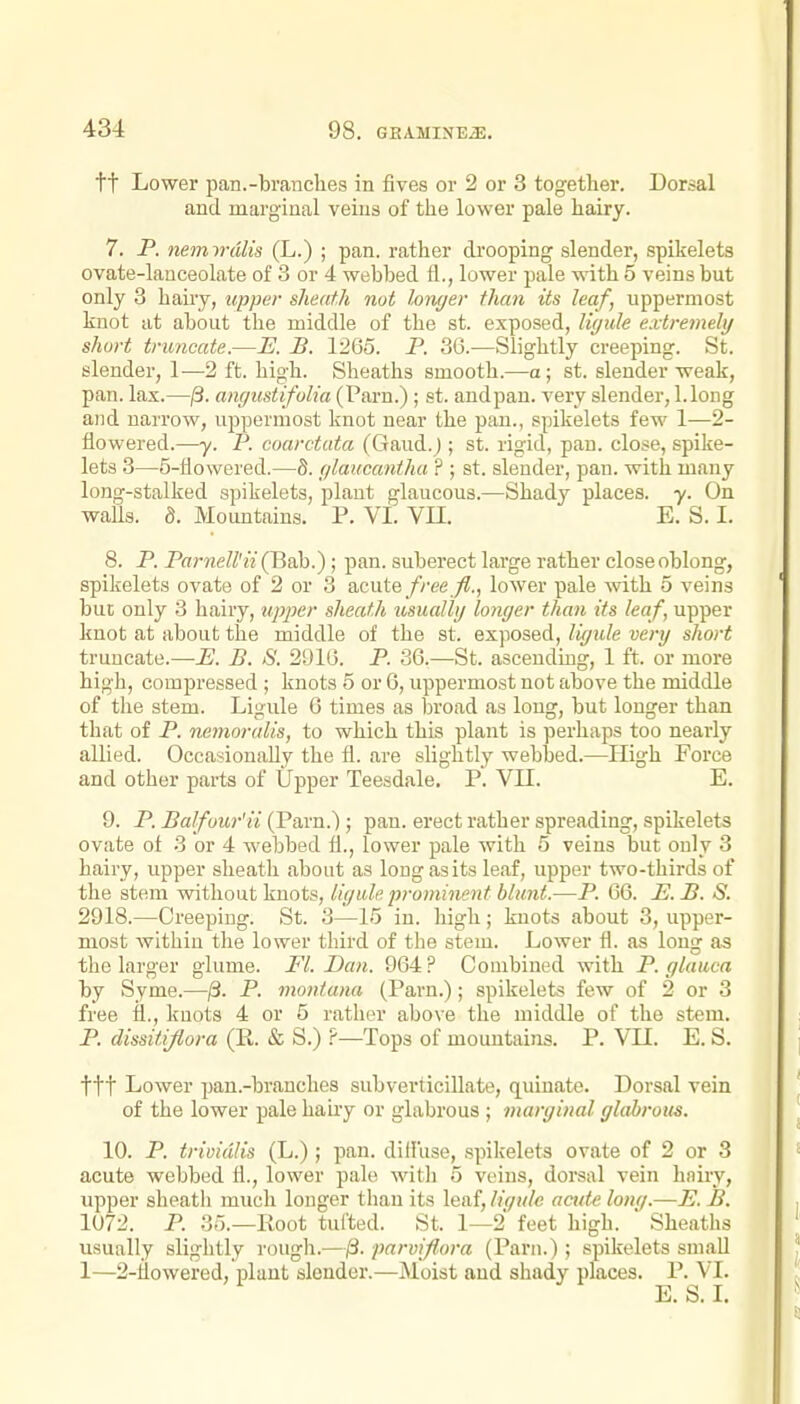 tt Lower pan.-branches in fives or 2 or 3 together. Dorsal and marginal veins of the lower pale hairy. 7. P. nemvdlis (L.) ; pan. rather drooping slender, spikelets ovate-lanceolate of 3 or 4 webbed fl., lower pale with 5 veins but only 3 hairy, upper sheath not hmjer them its leaf, uppermost knot at about the middle of the st. exposed, ligule extremely short trmicate.—E. B. 1265. P. 36.—Slightly creeping. St. slender, 1-—2 ft. high. Sheaths smooth.—a; st. slender weak, pan. lax.—/3. angustifulia (Parn.); st. andpan. A'ery slender, l.long and narrow, uppermost knot near the pan., spikelets few 1—2- flowered.—y. P. coarctuta (Gaud.j; st. rigid, pan. close, spike- lets 3—5-flowered.—S. glaucantha ? ; st. slender, pan. with many long-stalked spikelets, plant glaucous.—Shady places, y. On waUs. S. Mountains. P. VI. Vn. E. S. I. 8. P. Parnell'ii (Bah.); pan. suberect large rather close oblong, spikelets ovate of 2 or 3 acute free fl., lower pale with 5 veins but only 3 hairy, upper sheath usuallij longer than its leaf, upper knot at about the middle of the st. exposed, ligule very short truncate.—E. B. S. 2916. P. 36.—St. ascendiug, 1 ft. or more high, compressed ; knots 5 or 6, uppermost not above the middle of the stem. Ligule 6 times as broad as long, but longer than that of P. nemoralis, to which this plant is perhaps too nearly allied. OccasionaUy the fl. are slightly webbed.—High Force and other parts of Upper Teesdale. P. VIC. E. 9. P. Balfour'ii (Parn.) ; pan. erect rather spreading, spikelets ovate of 3 or 4 webbed fl., lower pale with 5 veins but only 3 hairy, upper sheatli about as long as its leaf, upper two-thirds of the stem without knots, ligule prominent blunt.—P. 66. E.B. S. 2918.—Creeping. St. 3—15 in. high ; knots about 3, upper- most within the lower third of the stem. Lower fl. as long as the larger glume. Fl. Dan. 964 ? Combined with P. glaiica by Syme.—/3. P. montana (Parn.); spikelets few of 2 or 3 free fl., knots 4 or 5 rather above the middle of the stem. P. dissitiflora (R. & S.) ?—Tops of mountains. P. VK. E. S. ttt Lower pan.-branches subverticillate, quinate. Dorsal vein of the lower pale hairy or glabrous ; marginal glabrous. 10. P. trividlis (L.); pan. dilluse, spikelets ovate of 2 or 3 acute webbed fl., lower pale witli 5 veins, dorsal vein hairy, upper sheath much longer than its leaf, li(jule aaite lonq.—E. B. 1072. P. 35.—Root tufted. St. 1—2 feet high. ' Sheaths usually slightly rough.—j3. parvijiora (Paru.); spikelets small 1—2-flowered, plant slender.—Moist and shady places. P. VI.