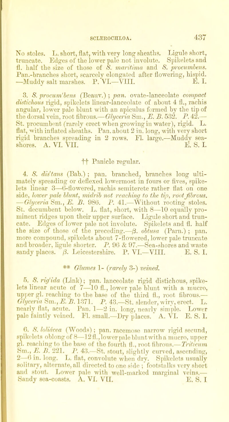 No stoles. L. sliort, flat, with very long sheaths. Ligule short, truncate. Edges of the lower pale not involute. Spilcelets and fl. half the size of those of S. muritima and S. prucumhetis. Pan .-branches short, scarcely elongated after flowering, hispid. —Muddy salt marshes. P.VL—VIII. ' E.I. 3. S. procum'hem (Beauv.); pan. ovate-lanceolate compact distichous rigid, spikolets linear-lanceolate of about 4 fl., rachis angular, lower p.ile blunt with an apiculus formed by the tip of the dorsal vein, root fibrous.— Glyceria Sm., E. B. 532. P. 42.— St. prociunb'^nt (rarely erect when growing in water), rigid. L. flat, with inflated sheaths. Pan. about 2 in. long, with very short riffid branches spreading in 2 rows. El. large.—Muddv sea- shores. A. VI. VII. E. S. I. tt Panicle regular. 4. S. dis'tans (Bab.) ; pan. branched, branches long ulti- mately spreading or deflexed lowermost in fours or fives, spike- lets linear 3—0-flowered, rachis semiterete rather flat on one side, lower pule hhint, midrih not reaching to the tip, root Jibrous. — Glyceria Sra., E. B. 98G. P. 41.—Without rooting stoles. St. decumbent below. L. flat, short, with 8—10 equally pro- minent ridges upon their upper surface. Ligule short and trun- cate. Edges of lower pale not involute. Spikelets and fl. half the size of those of the preceding.—^. ohtttsa (Parn.) ; pan. more compound, spikelets about 7-flowered, lower pale truncate and broader, ligule shorter. P. 90 & 97.—Sea-shores and waste sandy places, fi. Leicestershire. P. VI.—VIII. E. S. I. ** Oluvies 1- (rarely 3-) veined. 5. S. rirfida (Link); pan. lanceolate rigid distichous, spike- lets linear acute of 7—10 fl., lower pale blunt with a mucro, upper gl. reaching to the base of the third 11., root fibrous.— Glycerin Sm., i,'. B. 1371. P. 43.—St. .slender, ^\ iry, erect. L. nearly fiat, acute. Pan. 1—2 in. long, nearly simple. Lower pale faintly veined. Fl. .small.—Diy places. A. VI. E. S. 1. 0. <S'. lolidcea (Woods) ; pan. racemose narrow rigid seeund, spikelets oblong of 8—12 fl.,lower pale bluntwitb a mucro, upper gl. reacliingto theba.se of the fourth fl., root fibrous.— Triticii.m Sm., K B. 221. P. 43.—St. .stout, slighlly curved, ascending, 2—0 in. long. L. flat, convolute when dry. Spikelets u.sually solitary, alternate, all directed to (me side ;' footsljilks very short and stout. Lower pah; with well-marked marginal veins.— Sandy sea-coasts. A. VI. VII. E. S. I