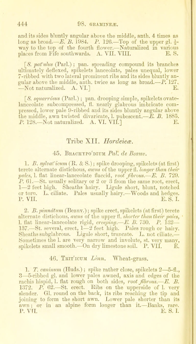 and its sides bluntly angular above the middle, anth. 4 times as long as broad.—-E.'i?. 1984. P. 126.—Top of the upper gl. i- way to the top of the fourth flower.—Naturalized in various places from Fife southwards. A. VII. VIII. E. S. [_S. pcd'uhis (Pari.) : pan. spreading compound its branches ultimately deflexed, spikelets lanceolate, pales unequal, lower 7-ribbed with two lateral prominent ribs and its sides bluntly an- gular above the middle, anth. twice as long as broad.—P. 127. —Not naturalized. A. VI.] E. [S. squarrosiis (Pari.); pan. drooping simple, spikelets ovate- lanceolate subconipressed, fi. nearly glabrous imbiicate com- pressed, lower pale 9-ribbed and its sides bluntly angular above the middle, awn twisted divaricate, 1. pubescent.—E. B. 1885. P. 128.—Not naturalized. A. VI. VII.] E. Tribe XII. Hordeieee. 45. Beachtpo'dium Pal', de Becmv, 1. B. sylvat'icum (R. & S.); spike drooping, spikelets (at first) terete alternate distichous, mens of the upper fl. longer than their pales, 1. flat linear-lanceolate flaccid, root fibrous.—U. B. 729. P. 61.—St. uguallv solitary or 2 or 3 from the same root, erect, 1—2 feet high. Sheaths hairy. Ligule short, blunt, notched or torn. L. ciliate. Pales usually hairy.—Woods and hedges. P. VII. E. S. I. 2. B. jnnndtiim (Beauv.); spike erect, spilvelets (at first) terete altei'nate distichous, a^ojis of the upper fl. shorter than their pales, 1. flat linear-lanceolate rigid, creepinff.—JS. B. ISO. P. 1-32— 137.—St. several, erect, 1—2 feet high. Pales rough or hairy. Sheaths subglabrous. Ligulo short, truncate. L. not ciliate.— Sometimes the 1. are very narrow and iuvolute, st. very many, spikelets small smooth.—On dry limestone soil. P. VII. E. 46. Tbit'icum Linoi. Wheat-grass. 1. T. canimnn (Huds.) ; spike rather close, spikelets 2—o-fl., 3—5-ribbed gl. and lower pales awned, axis and edges of the rachis hispid, 1. flat rough on both sides, root Jihrous.—E. B. 1372. P. 62.—St. erect. Kibs on the upperside of 1. very slender. Gl. round on the back, its ribs reaching the tip and joining to form the short awn. Lower pale shorter than its awn; or in an alpine form longer than it.—Banlfs, rare. P. VTI. E. S. I.