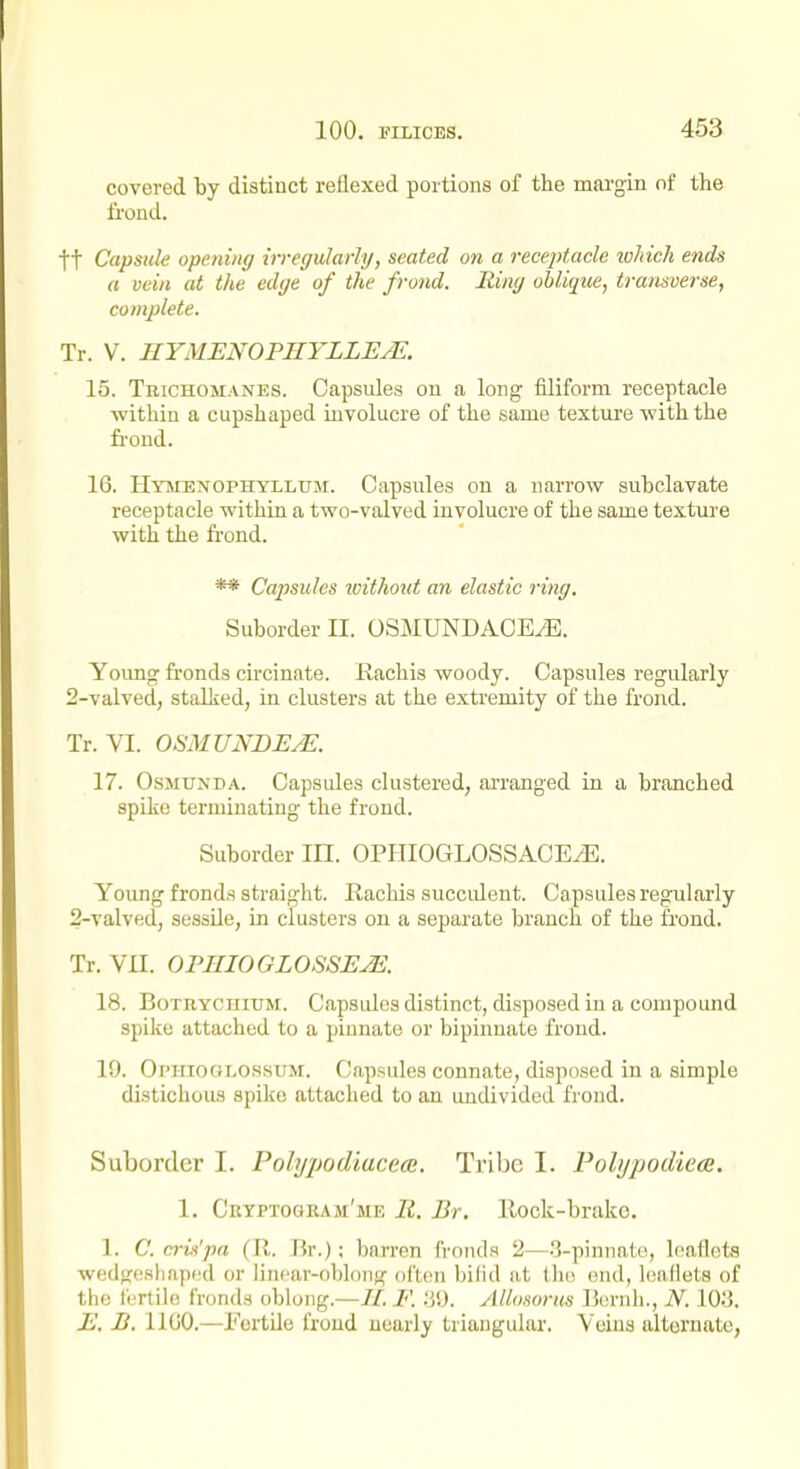 covered by distinct reflexed portions of the margin of the frond. tt Capsule opening irregularh/, seated on a receptacle lohich ends a vein at the edge of the frond. Ring oblique, transverse, complete. Tr. V. HYMENOPIIYLLEAl. 15. Trichomanes. Capsides on a long filiform receptacle ■within a cupshaped involucre of the same texture with the fi'ond. 16. Hymenophyllum. Capsules on a narrow subclavate receptacle within a two-valved involucre of the same texture with the frond. ** Capsules zoithout an elastic ring. Suborder II. OSMUNDAOEyE. Young fronds circinate. Kachis woody. Capsules regularly 2-valved, stalked, in clusters at the extremity of the frond. Tr. VI. OSMUND EM. 17. OsMUNDA. Capsules clustered, arranged in a branched spike terminating the frond. Suborder III. OPPTIOGLOSSACE/E. Young fronds straight. Rachis succulent. Capsules regularly 2-valved, sessile, in clusters on a separate branch of the frond. Tr. VII. OPIIIOGLOSSEM. 18. BoxnYCniuM. Capsides distinct, disposed in a compound spike attached to a pinnate or bipinnate frond. 19. Oi'HiOGLOSSUM. Capsules connate, disposed in a simple distichous spike attached to an undivided frond. Suborder I. Polyjjodiacece. Tribe I. Folypodiece. 1. CRYPToaRAM'ME R. Br. llock-brako. 1. C. cris'pn (Tl. fir.); barren fronds 2—.3-pinnate, leaflets wedgesliapcd or lincar-obloug often bilid at llie end, leallets of the iLTlile fronds oblong.—//. F. Allosorus ]5(!rnh., N. 103. E. B. 1100.—Fertile frond nearly triangular. Veins alternate,