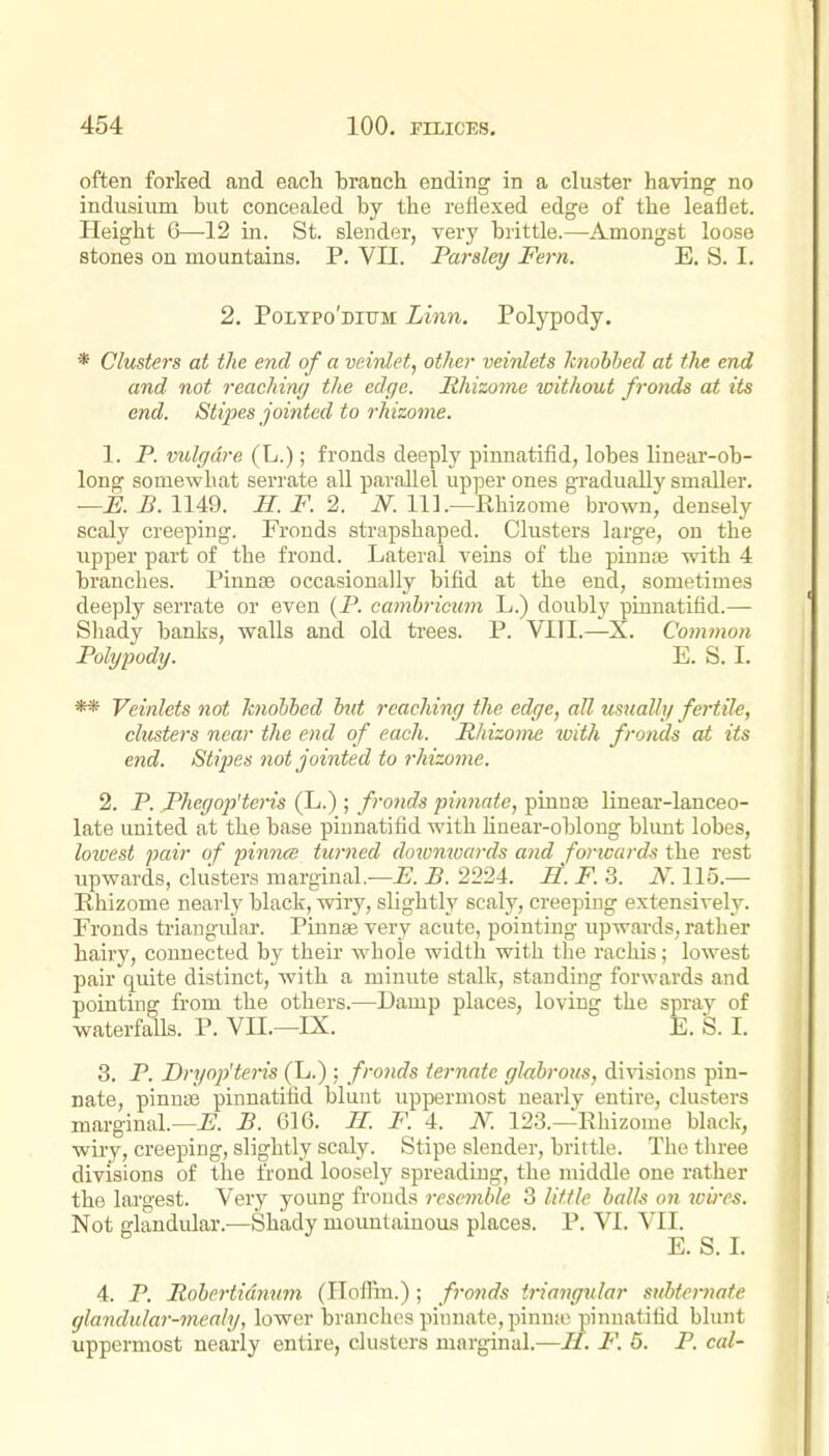 often forked and each branch ending in a cluster having no indusium but concealed by the refiexed edge of the leaflet. Height 6—12 in. St. slender, very brittle.—Amongst loose stones on mountains. P. VII. Parsley Fern. E. S. I. 2. Poltpo'ditjm Linn. Polypody. * Clusters at the end of a veinlet, other veinlets knobbed at the end and not reachim/ the edge. Rhizome toithout fronds at its end. Stipes jointed to rhizome. 1. P. vulgdre (L.); fronds deeply pinnatifid, lobes linear-ob- long somewhat serrate all parallel upper ones gradually smaller. —E. B. 1149. H. F. 2. N. 111.—Rhizome brown, densely seal}' creeping. Fronds strapshaped. Clustei's large, on the upper part of the frond. Lateral veins of the pinuEe with 4 branches. Pinnte occasionally bifid at the end, sometimes deeply serrate or even (P. cambricum L.) doubly pinnatifid.— Sliady banks, walls and old trees. P. VITI.—X. Common Polypody. E. S. I. ** Veinlets not hnohbed but reaching the edge, all usually fertile, clusters near the end of each. Rldzome ivith fronds at its end. Stipes not jointed to rhizome. 2. P. Phegop'teris (L.) ; fronds pinnate, pinuiB linear-lanceo- late united at the base pinnatifid with hnear-oblong blunt lobes, lozvest pair of pinnce turned dozvnwards and foriuards the rest upwards, clusters marginal.—E. B. 2224. 11. F. 3. N. 115.— Rhizome nearly black, wiry, slightly scaly, creeping extensively. Eronds triangular. Pinn« very acute, pointing upwards, rather hairy, connected by their whole width with the rachis; lowest pair quite distinct, with a minute stalk, standing forwards and pointing from the others.—Damp places, loving the spray of waterfalls. P. VII.—IX. E. S. I. 3. P. Dryop'teris (L.) ; fronds ternate glabrous, divisions pin- nate, pinuiB pinnatifid blunt uppermost nearly entire, clusters marginal.—i;. B. 616. 11. F. 4. K 123.—Rhizome black, wiry, creeping, slightly scaly. Stipe slender, brittle. The three divisions of the frond loosely spreading, the middle one rather the largest. Very young fronds resemble 3 little balls on icii-es. Not glandular.^—Shady mountainous places. P. VI. VII. E. S. I. 4. P. Pobertidnum (Iloffin.); fronds triangular subternate glandular-mealy, lower branches pinnate, pinuiv pinnatifid blunt uppermost nearly entire, clusters marginal.—//. F. 5. P. cal-