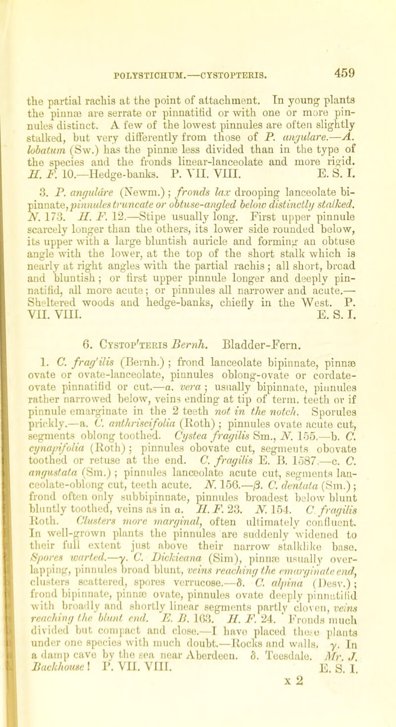 P0LY3TICHTJM. CYST0PTERI3. the partial rachis at the point of attachment. Tn young plants the pinnte are serrate or pinnatitid or with one or more pin- nules distinct. A few of the lowest pinnules are often slightly stallted, but very ditl'erently from those of P. imjulare.—A. lobatum (Sw.) has the pinnae less divided than in the type of the species and the fronds linear-lanceolate and more ri£>id. H. F. 10.—Hedge-banks. P. Yll. VHI. E. S. I. 3. P. amjuldre (Newm.) ; fronds lax drooping lanceolate bi- ^inniite,pinnulestvuncate or obtuse-angled below distinctly stalked. N. 170. //. F. 12.—Stipe usually long. First upper pinnule scarcely longer than the others, its lower side rounded below, its upper with a large blimtish auricle and forming an obtuse angle with the lower, at the top of the short stalk which is nearly at right angles with the partial rachis ; all short, broad and bluntish; or first upper pmnule longer and deeply pin- natifid, aU more acute; or pinnules all narrower and acute.— Sheltered woods and hedge-banks, chiefly in the West. P. VII. VIII. E. S. I. 6. Cystop'teris Bernh. Bladder-Pern. 1. C. frag'ilis (Eernh.) ; frond lanceolate bipinnate, pinnae ovate or ovate-lanceolate, pinnules oblong-ovate or cordate- ovate pinnatifid or cut.—a. vera ; usually bipinnate, pinnules rather narrowed below, veins ending at tip of term, teeth ov if pinnule emarginate in the 2 teeth not in the notch. Sporules prickly.—a. C anthriscifolia (Ilofh) ; pinnules ovate acute cut, segments oblong tootlied. Cystca fragilis Sm., N. 155.—b. C. cynapifoiia (Roth) : pinnules obovate cut, segments obovate toothed or refuse at tlie end. C. fragilis E. B. 1587,—c. C. angustata (Sni.); pinnules lanceolate acute cut, segments lan- ceolate-oblong cut, teeth acute. N. 156.—/3. C. dentata (Sm.) ; frond often only subbipinnate, pinnules broadest bulow blunt bluntly toothed, veins as in a. II. F. 2.3. N. 154. C fragilis lioth. Clusters wtwe marginal, often ullimafely coiiflutmt. In well-grown plants the pinnules are suddenly widened to their full extent just above their narrow stal]<lilio base. Spores warted.—y. C. Lickieana (Sim), pinn;e usually over- lapping, pinuules broad blunt, veins reaching the emirgiiiateend, clusters scattered, spores verrucose.—b. C. alpina (Desv.); frond bipinnate, pinnfE ovate, pinnuhis ovate deeply pinniitilid with broadly and shortly linear segments partly cloven, iy'.'ms reaching the blunt end. F. JJ. li}'.]. H. F. 24.  Frouds much divided but conijiact and close.—I have placed fhufO plants under one species with much doubt.—Rocks and walls, y. In a damp cave by the sea near Aberdeen. 8. Teesdale. Mr. J Backhouse 1 P. VII. VIII. ESI X 2