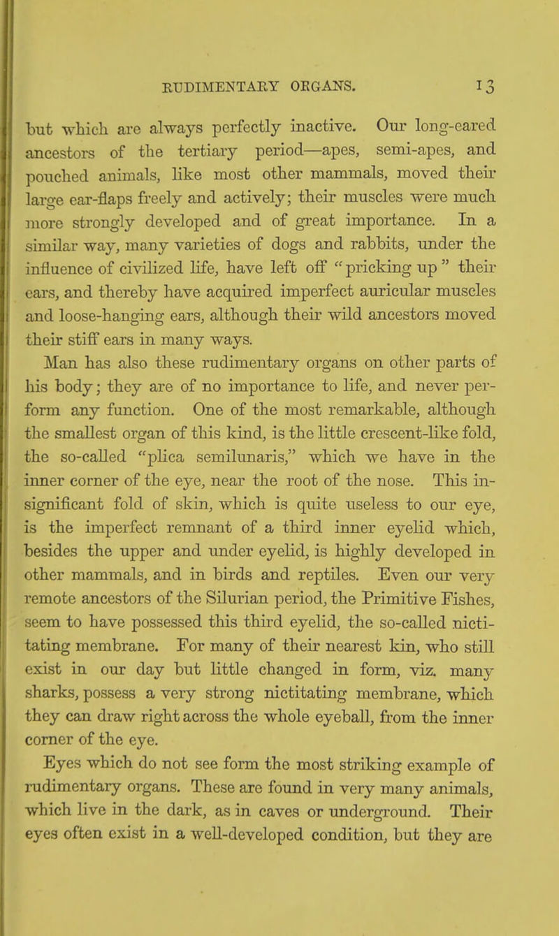 but which are always perfectly inactive. Our long-eared ancestors of the tertiary period—apes, semi-apes, and pouched animals, like most other mammals, moved their large ear-flaps freely and actively; their muscles were much more strongly developed and of great importance. In a similar way, many varieties of dogs and rabbits, under the influence of civilized life, have left off “ pricking up ” their ears, and thereby have acquired imperfect auricular muscles and loose-hanging ears, although their wild ancestors moved them stiff ears in many ways. Man has also these rudimentary organs on other parts of his body; they are of no importance to life, and never per- form any function. One of the most remarkable, although the smallest organ of this kind, is the little crescent-like fold, the so-called “plica semilunaris,” which we have in the inner corner of the eye, near the root of the nose. This in- significant fold of skin, which is quite useless to our eye, is the imperfect remnant of a third inner eyelid which, besides the upper and under eyelid, is highly developed in other mammals, and in birds and reptiles. Even our very remote ancestors of the Silurian period, the Primitive Fishes, seem to have possessed this third eyelid, the so-called nicti- tating membrane. For many of their nearest kin, who still exist in our day but little changed in form, viz. many sharks, possess a very strong nictitating membrane, which they can draw right across the whole eyeball, from the inner corner of the eye. Eyes which do not see form the most striking example of rudimentary organs. These are found in very many animals, which live in the dark, as in caves or underground. Their eyes often exist in a well-developed condition, but they are