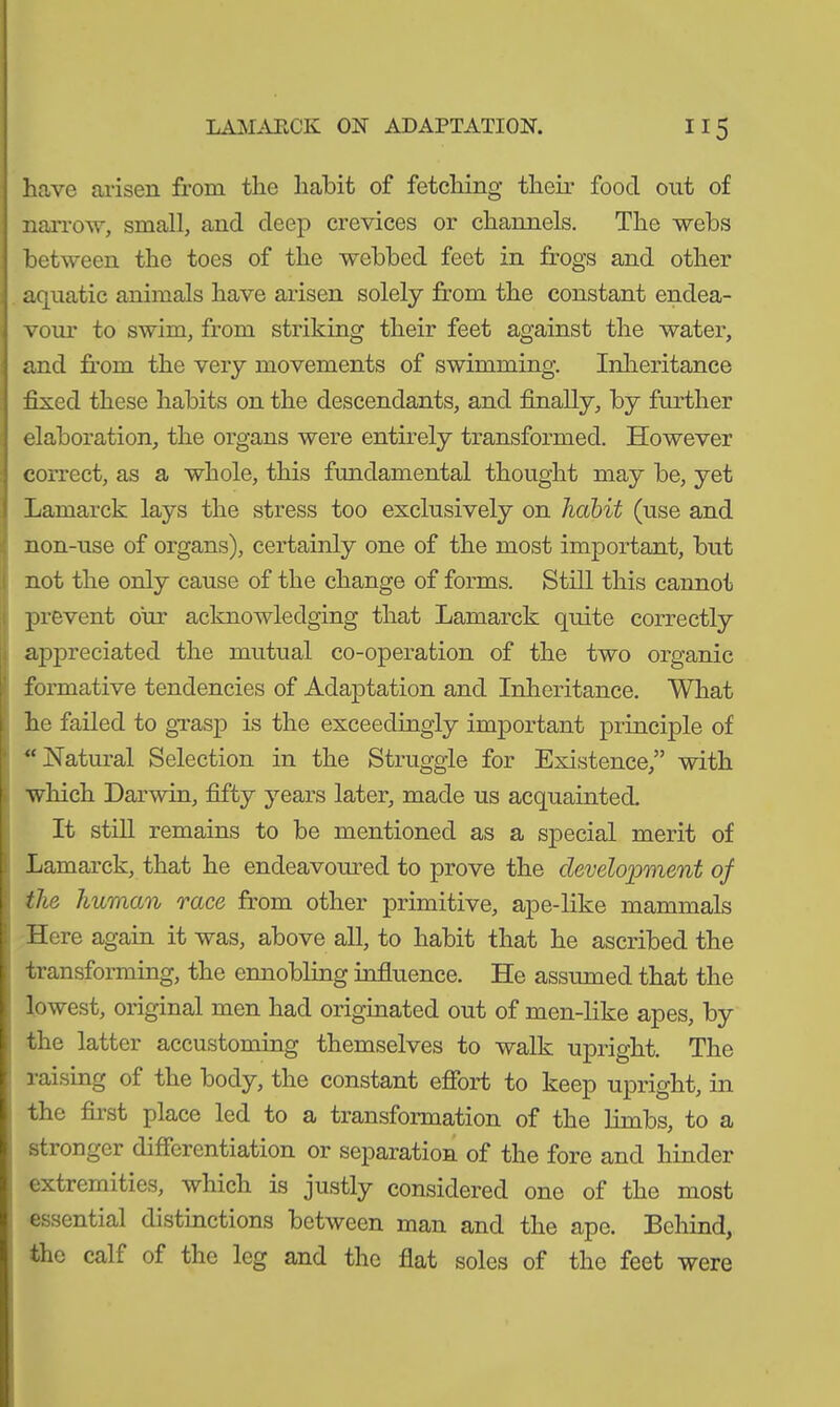 have arisen from the habit of fetching their food out of narrow, small, and deep crevices or channels. The webs between the toes of the webbed feet in frogs and other aquatic animals have arisen solely from the constant endea- vour to swim, from striking their feet against the water, and from the very movements of swimming. Inheritance fixed these habits on the descendants, and finally, by further elaboration, the organs were entirely transformed. However correct, as a whole, this fundamental thought may be, yet Lamarck lays the stress too exclusively on habit (use and non-use of organs), certainly one of the most important, but not the only cause of the change of forms. Still this cannot prevent our acknowledging that Lamarck quite correctly appreciated the mutual co-operation of the two organic formative tendencies of Adaptation and Inheritance. What he failed to grasp is the exceedingly important principle of “Natural Selection in the Struggle for Existence,” with which Darwin, fifty years later, made us acquainted. It still remains to be mentioned as a special merit of Lamarck, that he endeavoured to prove the development of the human race from other primitive, ape-like mammals Here again it was, above all, to habit that he ascribed the transforming, the ennobling influence. He assumed that the lowest, original men had originated out of men-like apes, by the latter accustoming themselves to walk upright. The raising of the body, the constant effort to keep upright, in the first place led to a transformation of the limbs, to a stronger differentiation or separation of the fore and hinder extremities, which is justly considered one of the most essential distinctions between man and the ape. Behind, the cab of the leg and the flat soles of the feet were