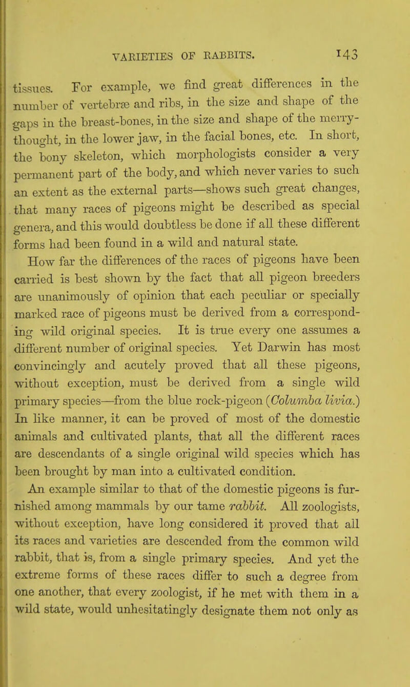 tissues. For example, we find great differences in the number of vertebrae and ribs, in the size and shape of the gaps in the breast-bones, in the size and shape of the merry- thought, in the lower jaw, in the facial bones, etc. In short, the bony skeleton, which morphologists consider a very permanent part of the body, and which never varies to such an extent as the external parts—shows such great changes, that many races of pigeons might be described as special o-enera and this would doubtless be done if all these different forms had been found in a wild and natural state. How far the differences of the races of pigeons have been carried is best shown by the fact that all pigeon breeders are unanimously of opinion that each peculiar or specially marked race of pigeons must be derived from a correspond- ing wild original species. It is true every one assumes a different number of original species. Yet Darwin has most convincingly and acutely proved that all these pigeons, 8 without exception, must be derived from a single wild primary species—from the blue rock-pigeon (Columba livia.) In like manner, it can be proved of most of the domestic animals and cultivated plants, that all the different races are descendants of a single original wild species which has been brought by man into a cultivated condition. An example similar to that of the domestic pigeons is fur- nished among mammals by our tame rabbit. All zoologists, without exception, have long considered it proved that ail its races and varieties are descended from the common wild rabbit, that is, from a single primary species. And yet the extreme forms of these races differ to such a degree from one another, that every zoologist, if he met with them in a wild state, would unhesitatingly designate them not only as