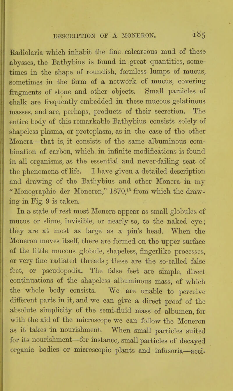 DESCRIPTION OF A MONERON. 1^5 Radiolaria which inhabit the fine calcareous mud of these abysses, the Bathybius is found in great quantities, some- times in the shape of roundish, formless lumps of mucus, sometimes in the form of a network of mucus, covering fragments of stone and other objects. Small particles ot chalk are frequently embedded in these mucous gelatinous masses, and are, perhaps, products of their secretion. The entire body of this remarkable Bathybius consists solely of shapeless plasma, or protoplasm, as in the case of the other Monera—that is, it consists of the same albuminous com- bination of carbon, which in infinite modifications is found in all organisms, as the essential and never-failing seat of the phenomena of life. I have given a detailed description and drawing of the Bathybius and other Monera in my “Monographie der Moneren,” 1870,15 from which the draw- ing in Fig. 9 is taken. In a state of rest most Monera appear as small globules of mucus or slime, invisible, or nearly so, to the naked eye; they are at most as large as a pin’s head. When the Moneron moves itself, there are formed on the upper surface of the little mucous globule, shapeless, fingerlike processes, or very fine radiated threads; these are the so-called false feet, or pseudopodia. The false feet are simple, direct continuations of the shapeless albuminous mass, of which the whole body consists. We are unable to perceive different parts in it, and we can give a direct proof of the absolute simplicity of the semi-fluid mass of albumen, for with the aid of the microscope we can follow the Moneron as it takes in nourishment. When small particles suited for its nourishment—for instance, small particles of decayed organic bodies or microscopic plants and infusoria—acci-