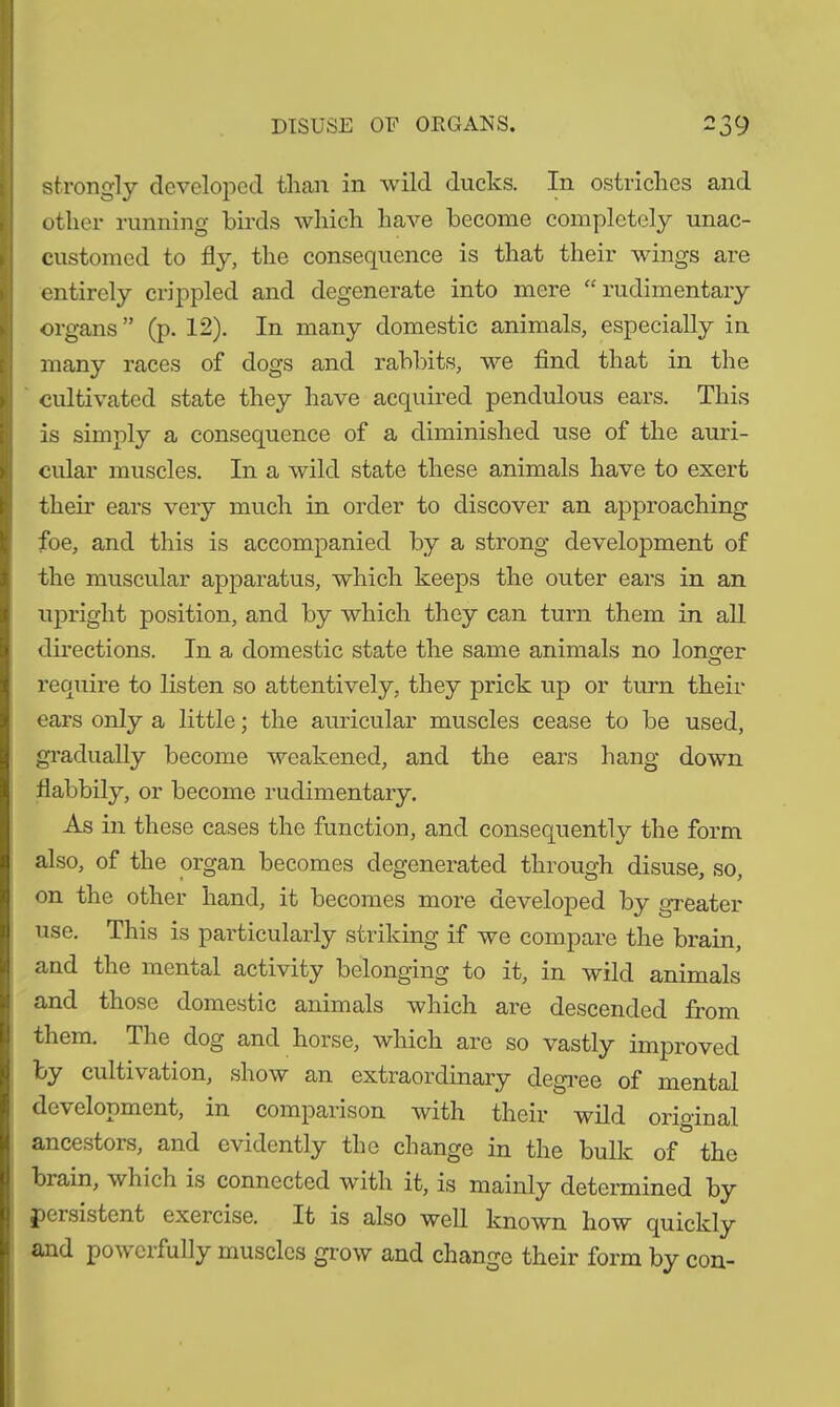 strongly developed, than in wild ducks. In ostriches and other running birds which have become completely unac- customed to fly, the consequence is that their wings are entirely crippled and degenerate into mere “rudimentary organs” (p. 12). In many domestic animals, especially in many races of dogs and rabbits, we find that in the cultivated state they have acquired pendulous ears. This is simply a consequence of a diminished use of the auri- cular muscles. In a wild state these animals have to exert their ears very much in order to discover an approaching foe, and this is accompanied by a strong development of the muscular apparatus, which keeps the outer ears in an upright position, and by which they can turn them in all directions. In a domestic state the same animals no longer O require to listen so attentively, they prick up or turn then- ears only a little; the auricular muscles cease to be used, gradually become weakened, and the ears hang down flabbily, or become rudimentary. As in these cases the function, and consequently the form also, of the organ becomes degenerated through disuse, so, on the other hand, it becomes more developed by greater use. This is particularly striking if we compare the brain, and the mental activity belonging to it, in wild animals and those domestic animals which are descended from them. The dog and horse, which are so vastly improved by cultivation, show an extraordinary degree of mental development, in comparison with their wild original ancestors, and evidently the change in the bulk of the brain, which is connected with it, is mainly determined by persistent exercise. It is also well known how quickly and powerfully muscles grow and change their form by con-