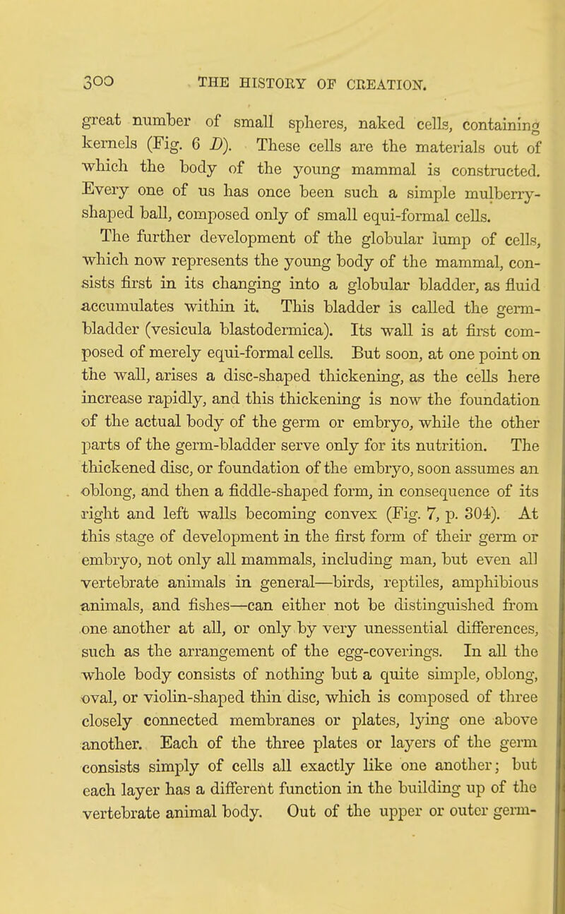 great number of small spheres, naked cells, containing kernels (Fig. 6 JJ). These cells are the materials out of which the body of the young mammal is constructed. Every one of us has once been such a simple mulberry- shaped ball, composed only of small equi-formal cells. The further development of the globular lump of cells, which now represents the young body of the mammal, con- sists first in its changing into a globular bladder, as fluid accumulates within it. This bladder is called the germ- bladder (vesicula blastodermica). Its wall is at first com- posed of merely equi-formal cells. But soon, at one point on the wall, arises a disc-shaped thickening, as the cells here increase rapidly, and this thickening is now the foundation of the actual body of the germ or embryo, while the other parts of the germ-bladder serve only for its nutrition. The thickened disc, or foundation of the embryo, soon assumes an oblong, and then a fiddle-shaped form, in consequence of its right and left walls becoming convex (Fig. 7, p. 304?). At this stage of development in the first form of their germ or embryo, not only all mammals, including man, but even all vertebrate animals in general—birds, reptiles, amphibious animals, and fishes—can either not be distinguished from one another at all, or only by very unessential differences, such as the arrangement of the egg-coverings. In all the whole body consists of nothing but a quite simple, oblong, oval, or violin-shaped thin disc, which is composed of three closely connected membranes or plates, lying one above another. Each of the three plates or layers of the germ consists simply of cells all exactly like one another; but each layer has a different function in the building up of the vertebrate animal body. Out of the upper or outer germ-