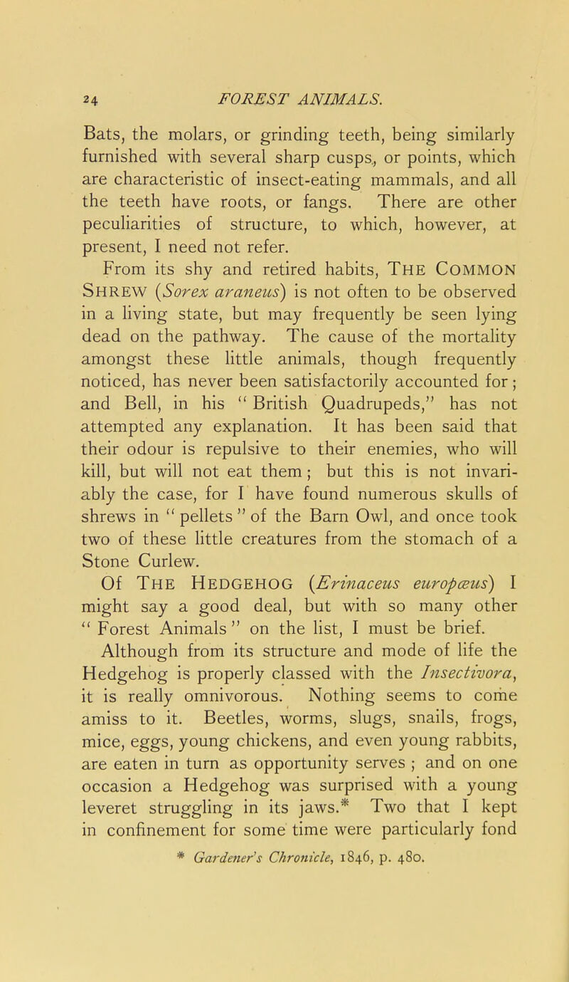 Bats, the molars, or grinding teeth, being similarly furnished with several sharp cusps,, or points, which are characteristic of insect-eating mammals, and all the teeth have roots, or fangs. There are other peculiarities of structure, to which, however, at present, I need not refer. From its shy and retired habits. The Common Shrew {Sorex araneus) is not often to be observed in a living state, but may frequently be seen lying dead on the pathway. The cause of the mortality amongst these little animals, though frequently noticed, has never been satisfactorily accounted for; and Bell, in his  British Quadrupeds, has not attempted any explanation. It has been said that their odour is repulsive to their enemies, who will kill, but will not eat them ; but this is not invari- ably the case, for I have found numerous skulls of shrews in  pellets  of the Barn Owl, and once took two of these little creatures from the stomach of a Stone Curlew. Of The Hedgehog {Erinaceus europceiis) I might say a good deal, but with so many other  Forest Animals  on the list, I must be brief. Although from its structure and mode of life the Hedgehog is properly classed with the Insectwora^ it is really omnivorous. Nothing seems to come amiss to it. Beetles, worms, slugs, snails, frogs, mice, eggs, young chickens, and even young rabbits, are eaten in turn as opportunity serves ; and on one occasion a Hedgehog was surprised with a young leveret struggling in its jaws.* Two that I kept in confinement for some time were particularly fond * Gardener's Chronicle, 1846, p. 480.