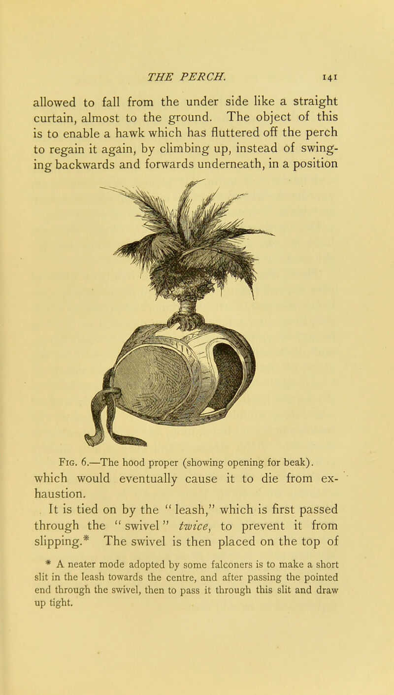 allowed to fall from the under side like a straight curtain, almost to the ground. The object of this is to enable a hawk which has fluttered off the perch to regain it again, by climbing up, instead of swing- ing backwards and forwards underneath, in a position Fig. 6.—The hood proper (showing opening for beak), which would eventually cause it to die from ex- haustion. It is tied on by the  leash, which is first passed through the  swivel  twice^ to prevent it from slipping.* The swivel is then placed on the top of * A neater mode adopted by some falconers is to make a short slit in the leash towards the centre, and after passing the pointed end through the swivel, then to pass it through this slit and draw up tight.